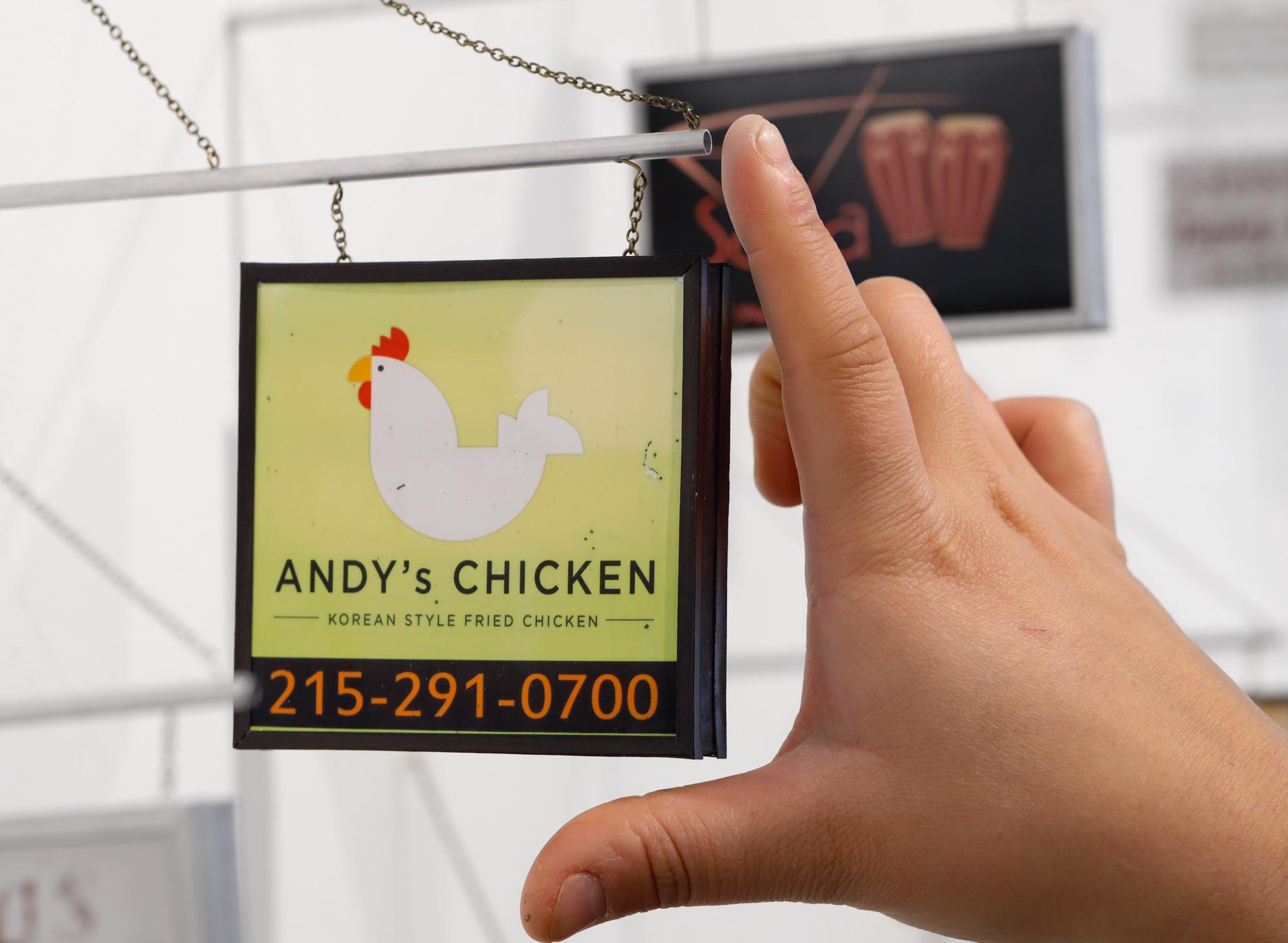 Andy's Chicken For Sale 4