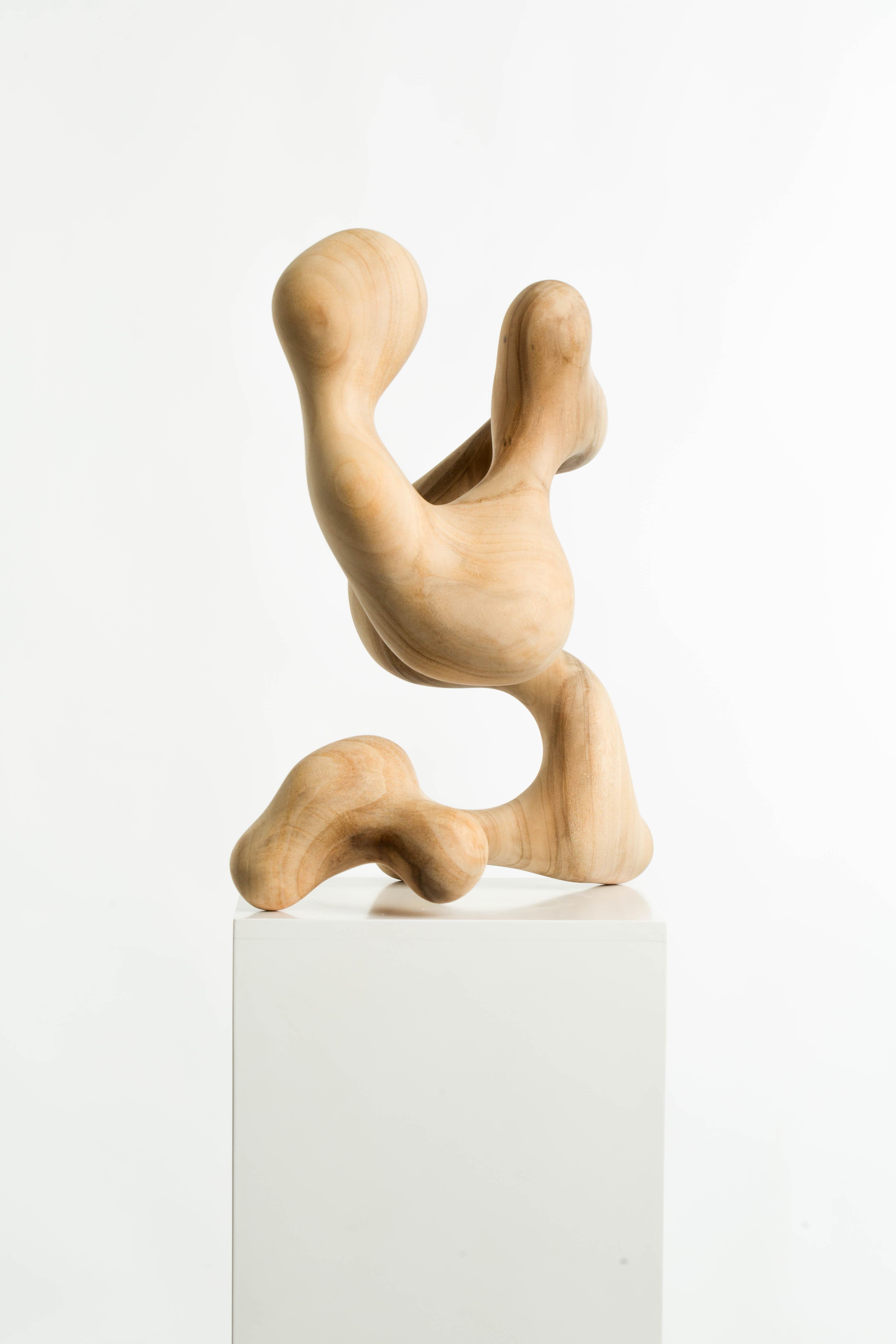 Raw, Wood, Abstract, Contemporary, Modern, Sculpture, Art, Geometric, Form, Flow For Sale 1