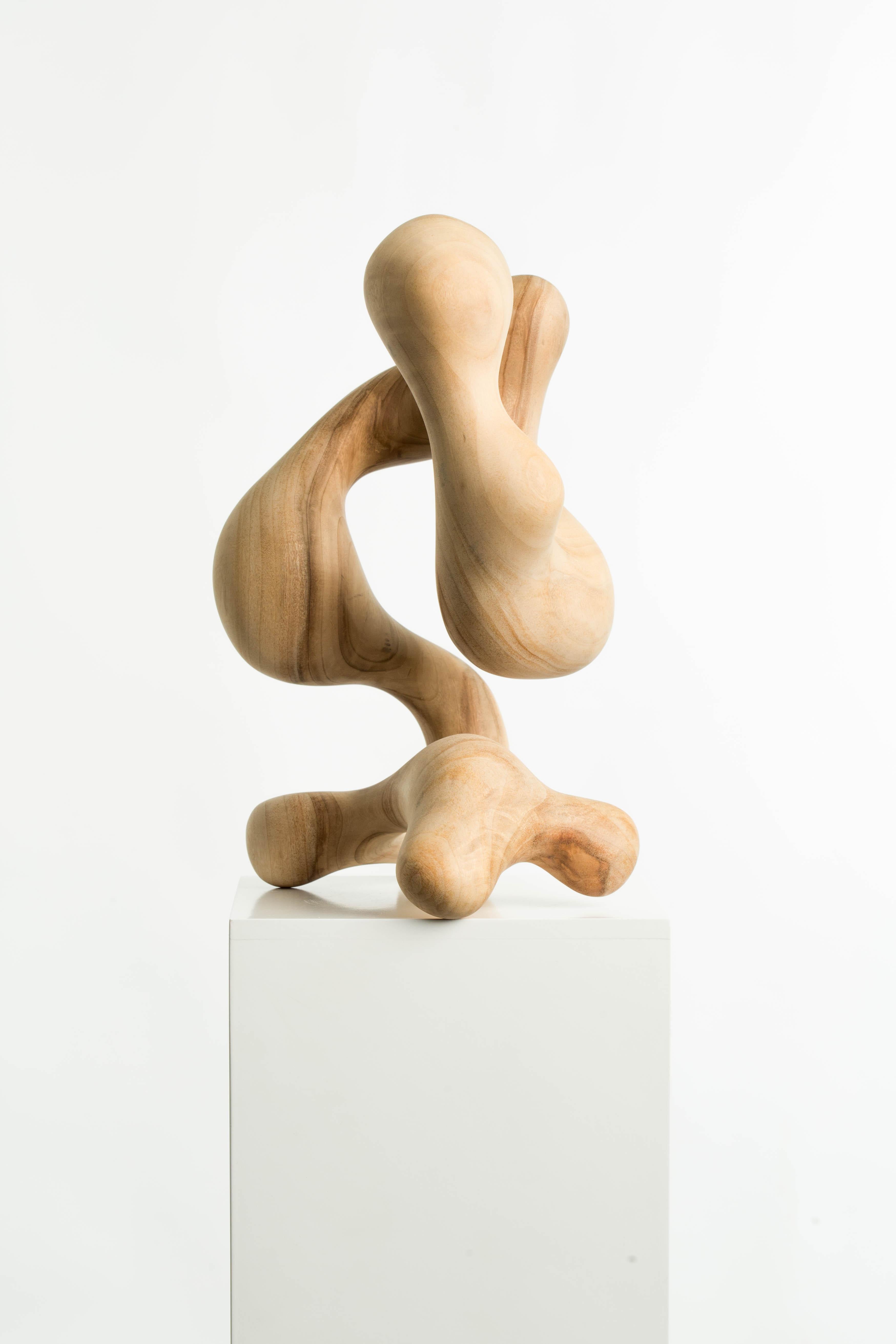 Raw, Wood, Abstract, Contemporary, Modern, Sculpture, Art, Geometric, Form, Flow For Sale 2