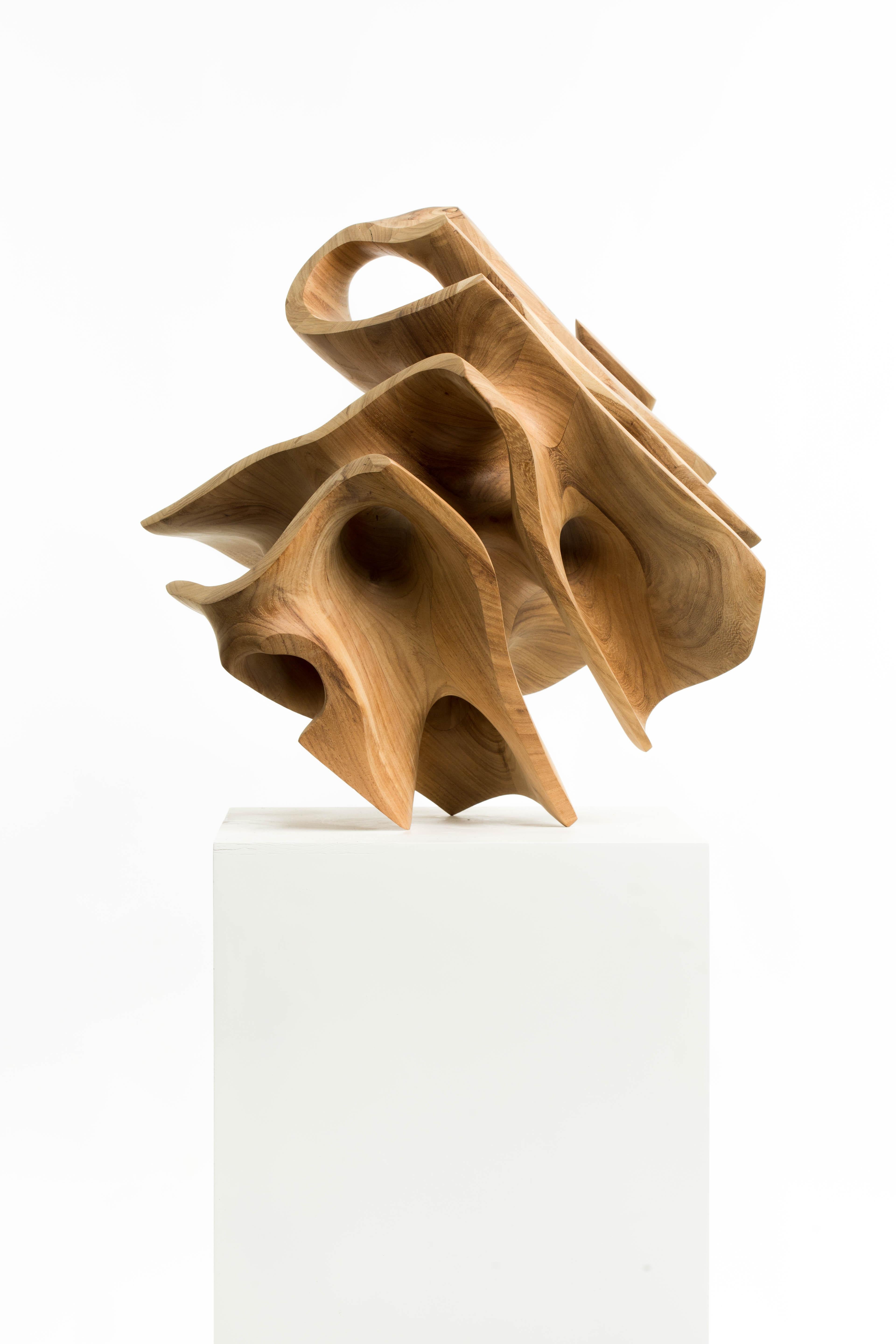 Dell'artista : Driaan Claassen
