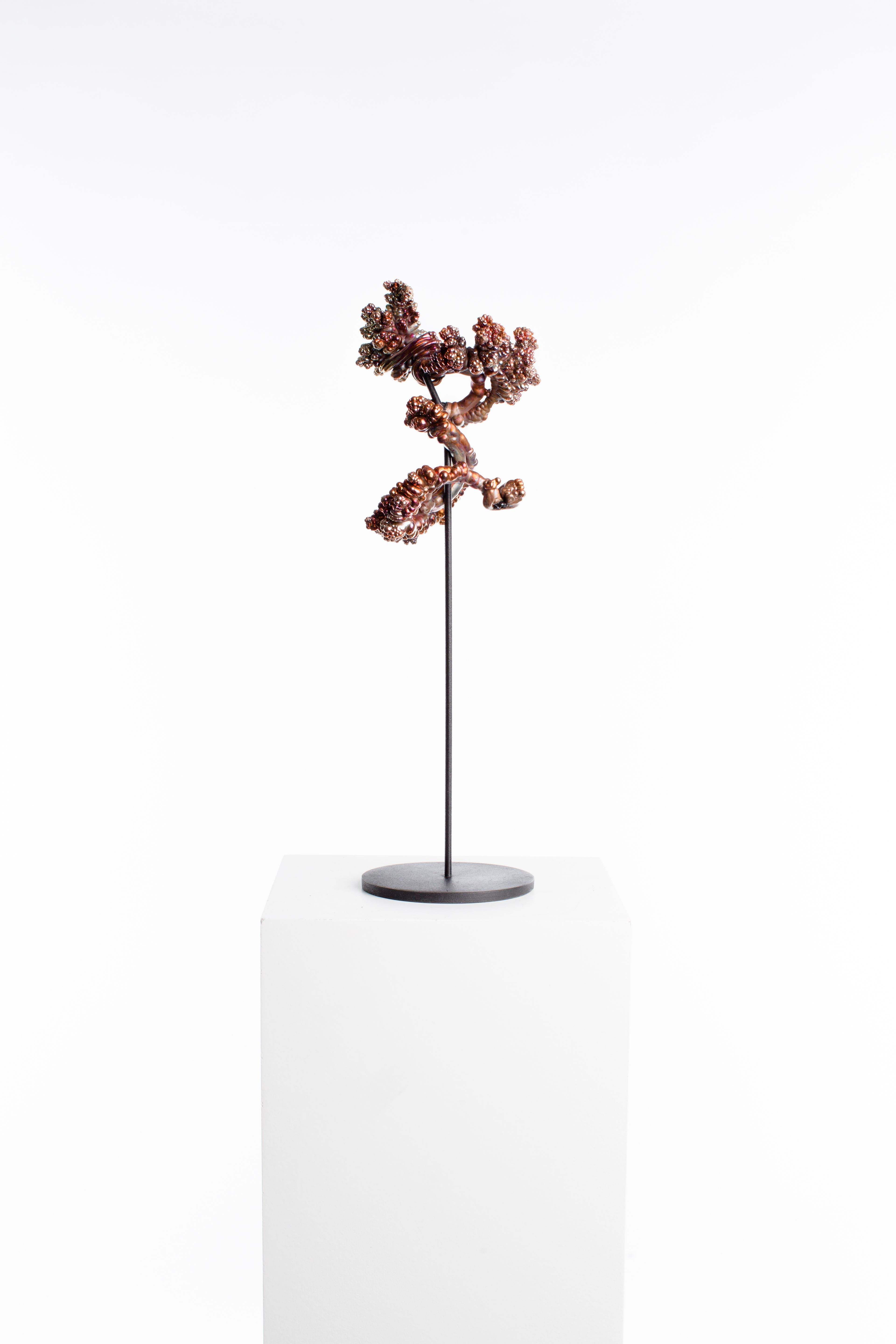 Copper, Crystal, Polished, Raw, Abstract, Contemporary, Modern, Art, Sculpture - Gray Abstract Sculpture by Driaan Claassen