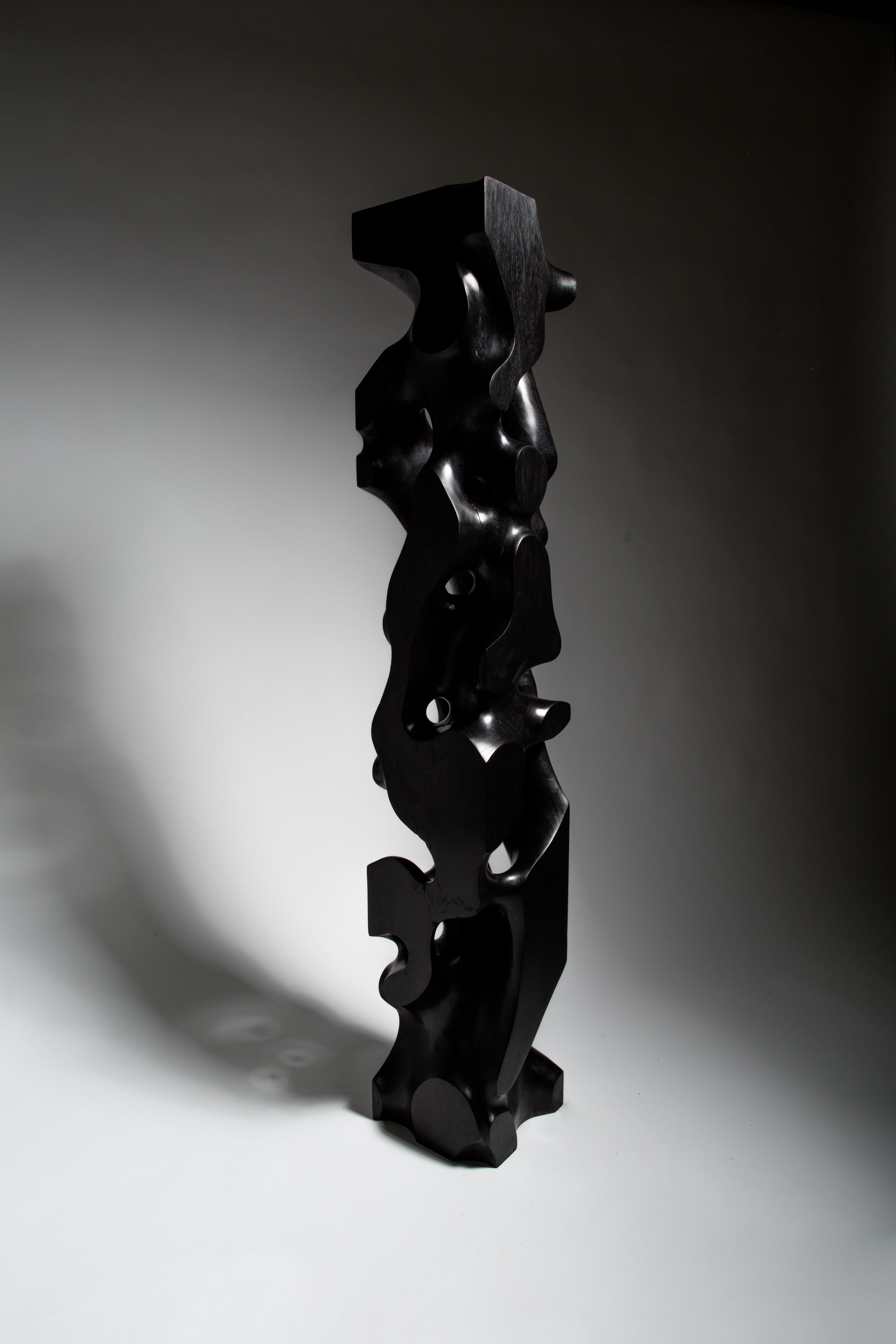 Large, Black, Stained, Gloss, Wooden, Abstract, Contemporary, Modern, Sculpture For Sale 4