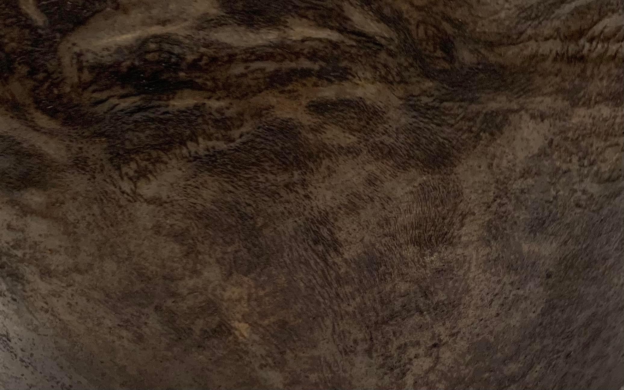 Dried Buffalo Skin Schale, Borneo, 1940er-Jahre im Zustand „Gut“ im Angebot in New York, NY