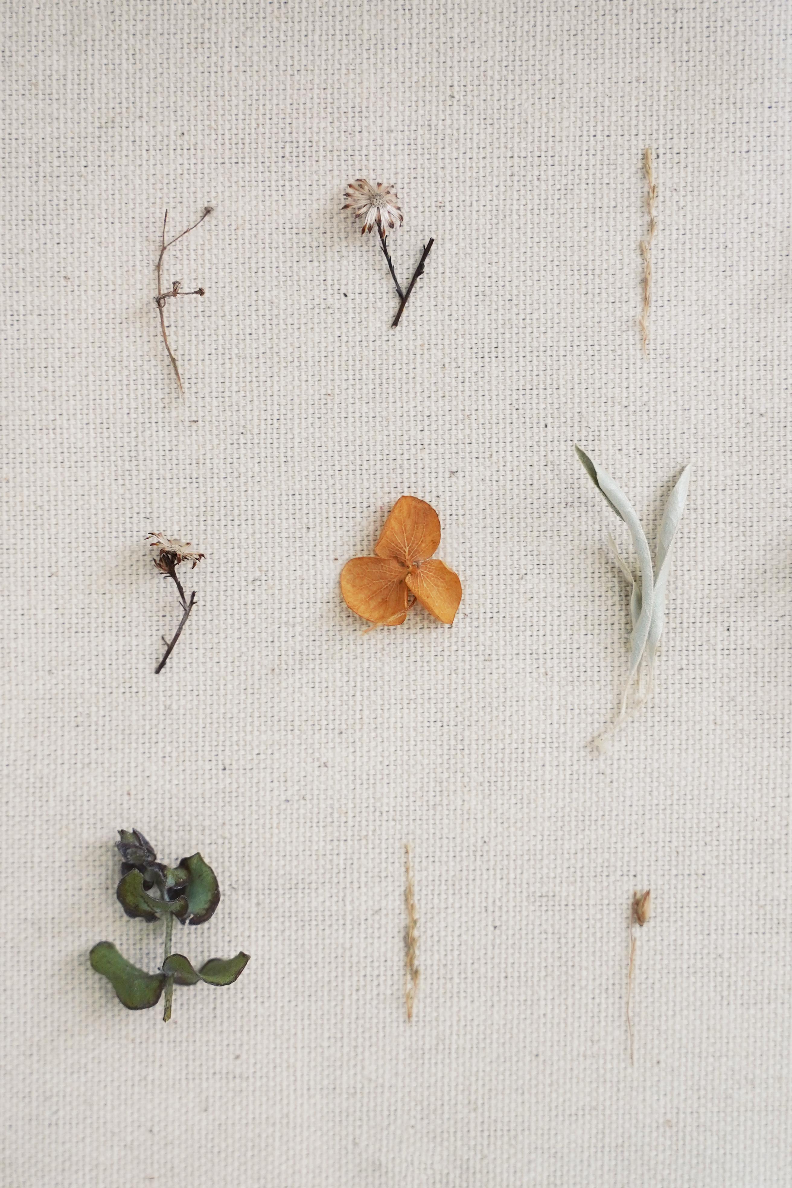 Dried Flora Composition, Grid & Natural Composition 13