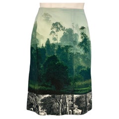 DRIES VAN NOTEN Size 6 Green & Blue Tapestry Cotton A-Line Knee-Length Skirt