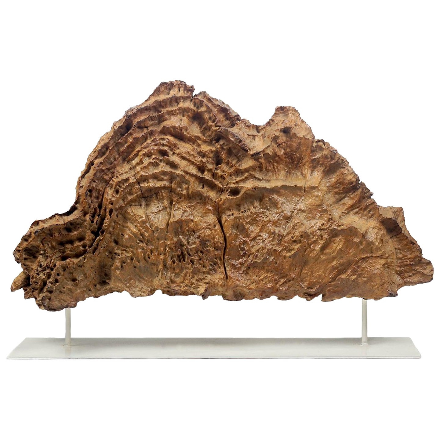 Scultura in Wood Drift su un supporto in ferro bianco in vendita