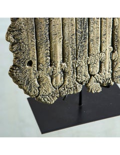 Driftwood #3 Brass Sculpture by circa 3230