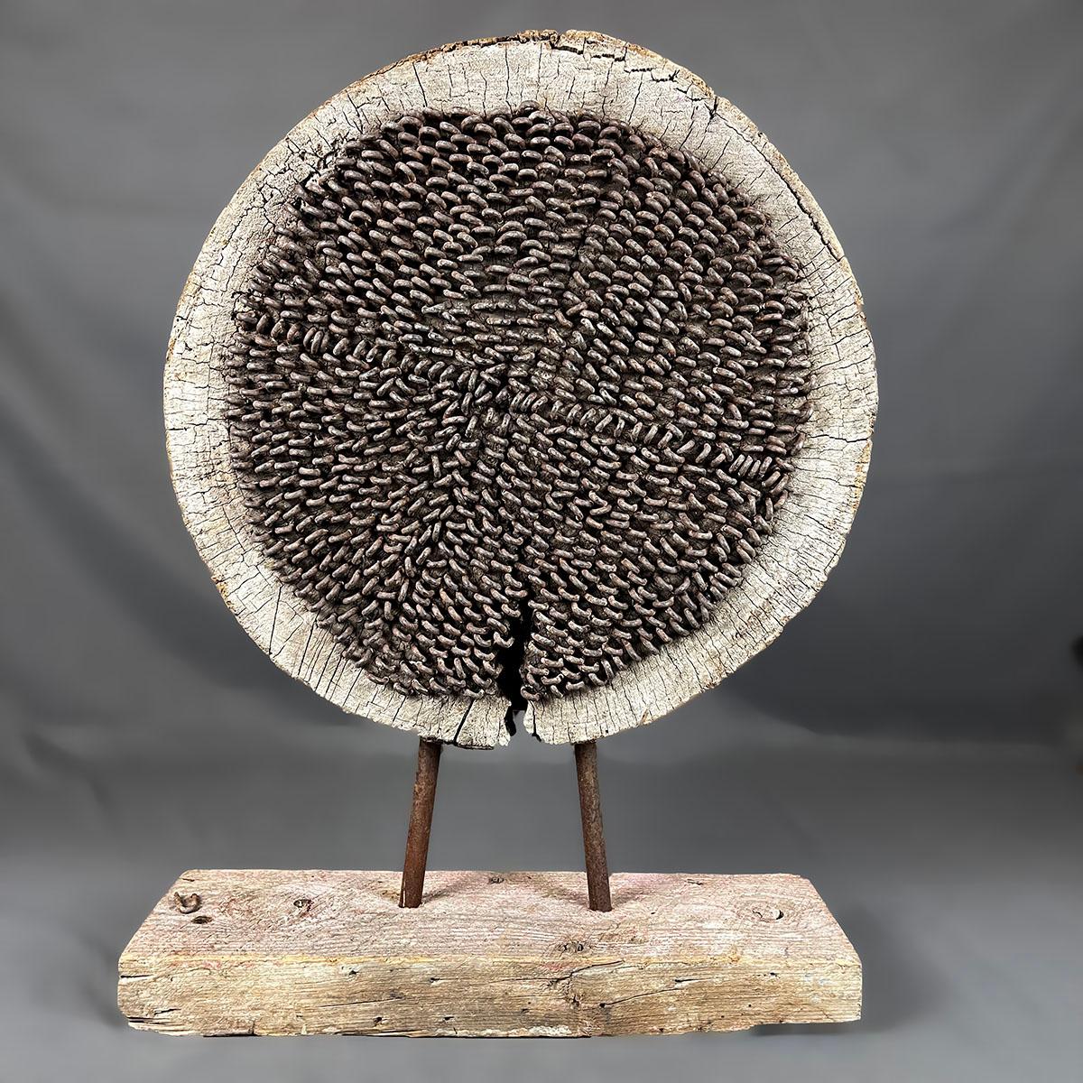 An anonymous wabi sabi style driftwood and iron table sculpture. The round cut of wood log has iron wires inlaid into one side of its center. The log is attached into another log of wood. This sculpture can be used as an accent for an interesting
