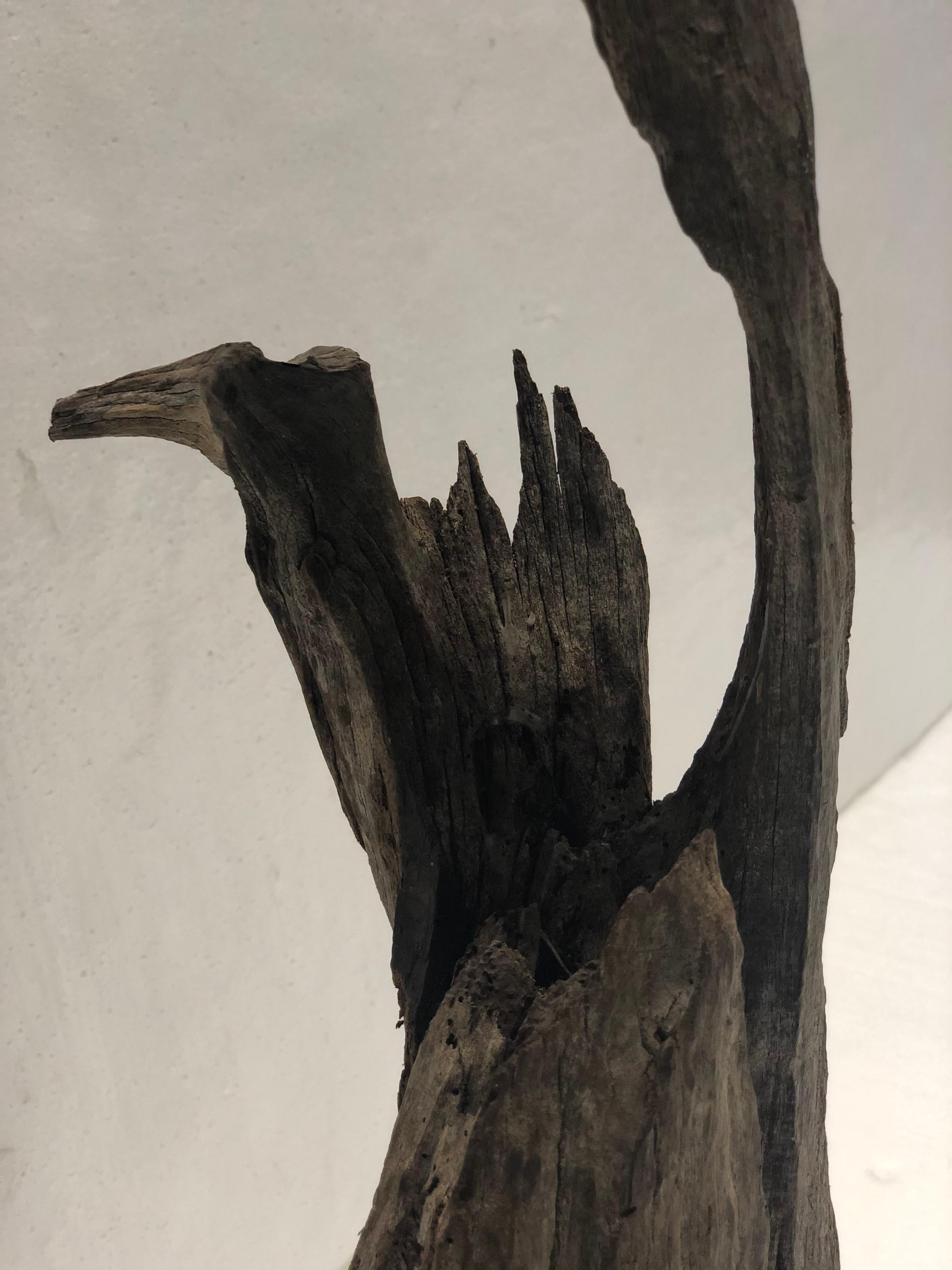 A natural driftwood sculpture with free from design.
Circa: 20th century.