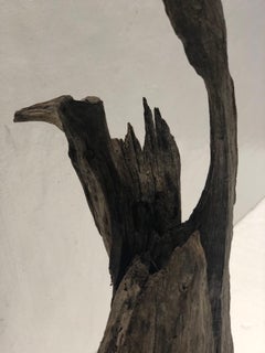 Scultura in legno driftwood