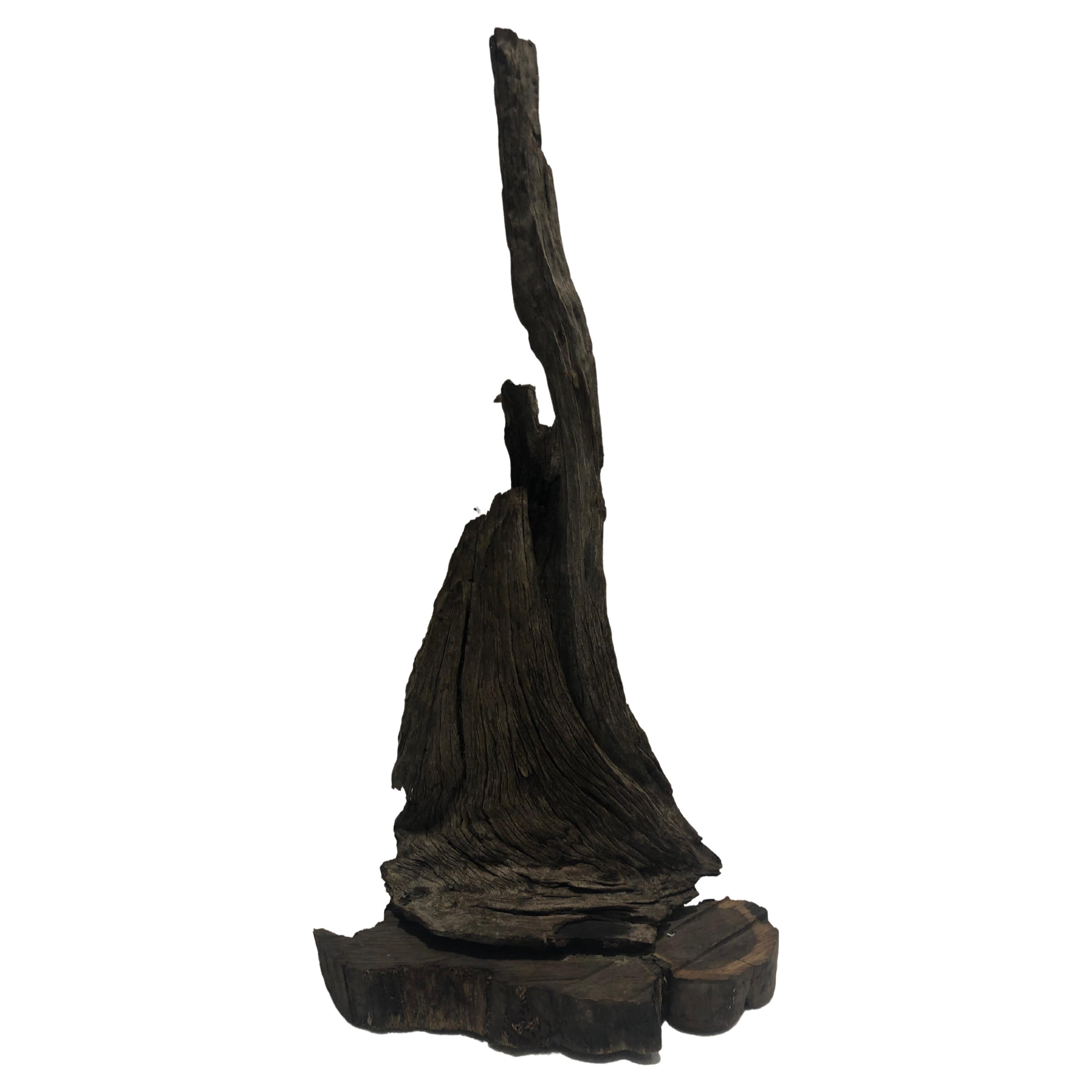 Driftwood Sculpture For Sale