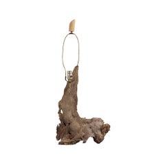 Driftwood Table Lamp, circa 1950