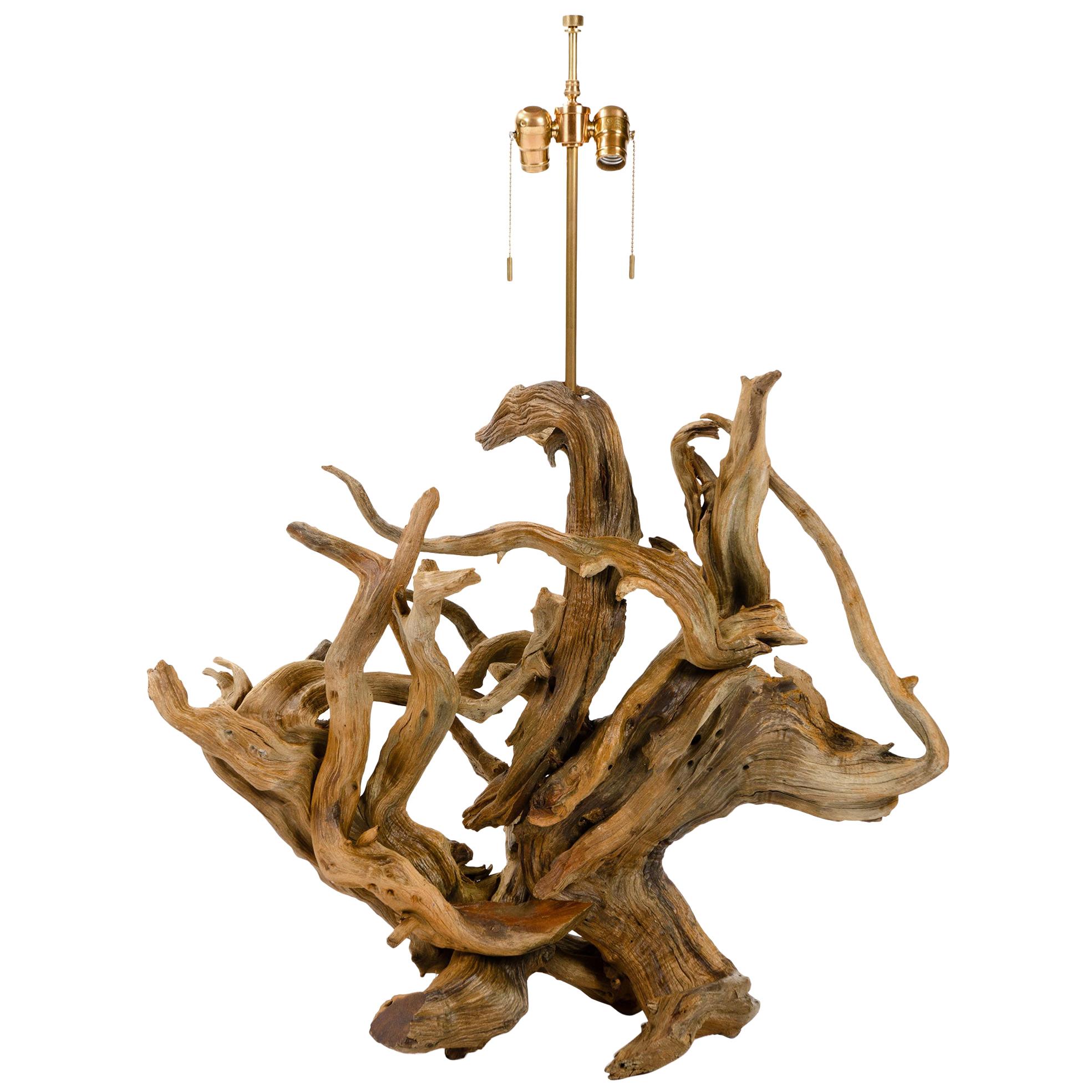Large Driftwood Table Lamp at 1stdibs