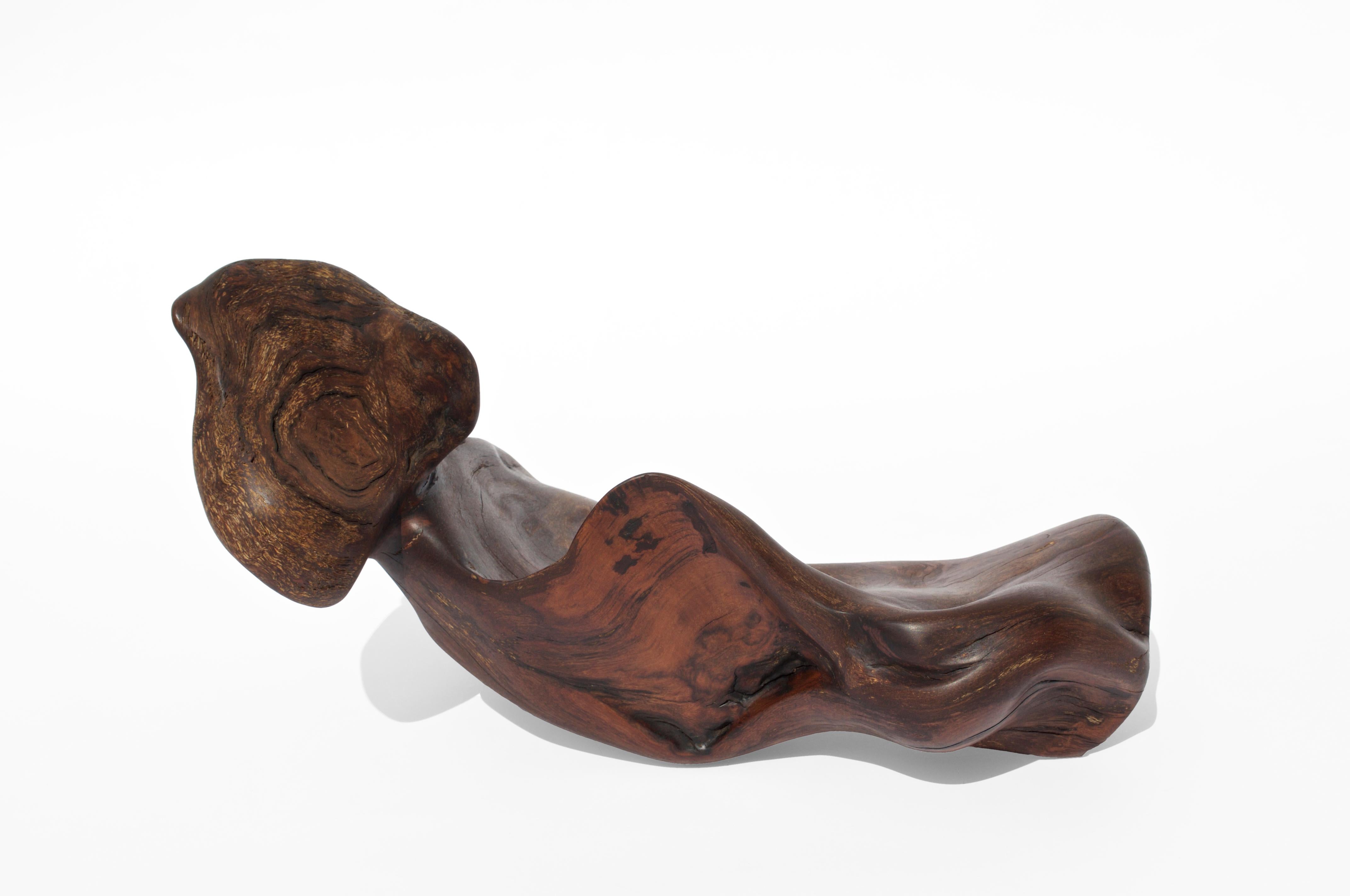 Contemporary Driftwood Vessel 2730 by Jörg Pietschmann