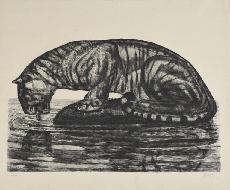 French Drinking Tiger, Original Etching by Paul Jouve, circa 1930 For Sale