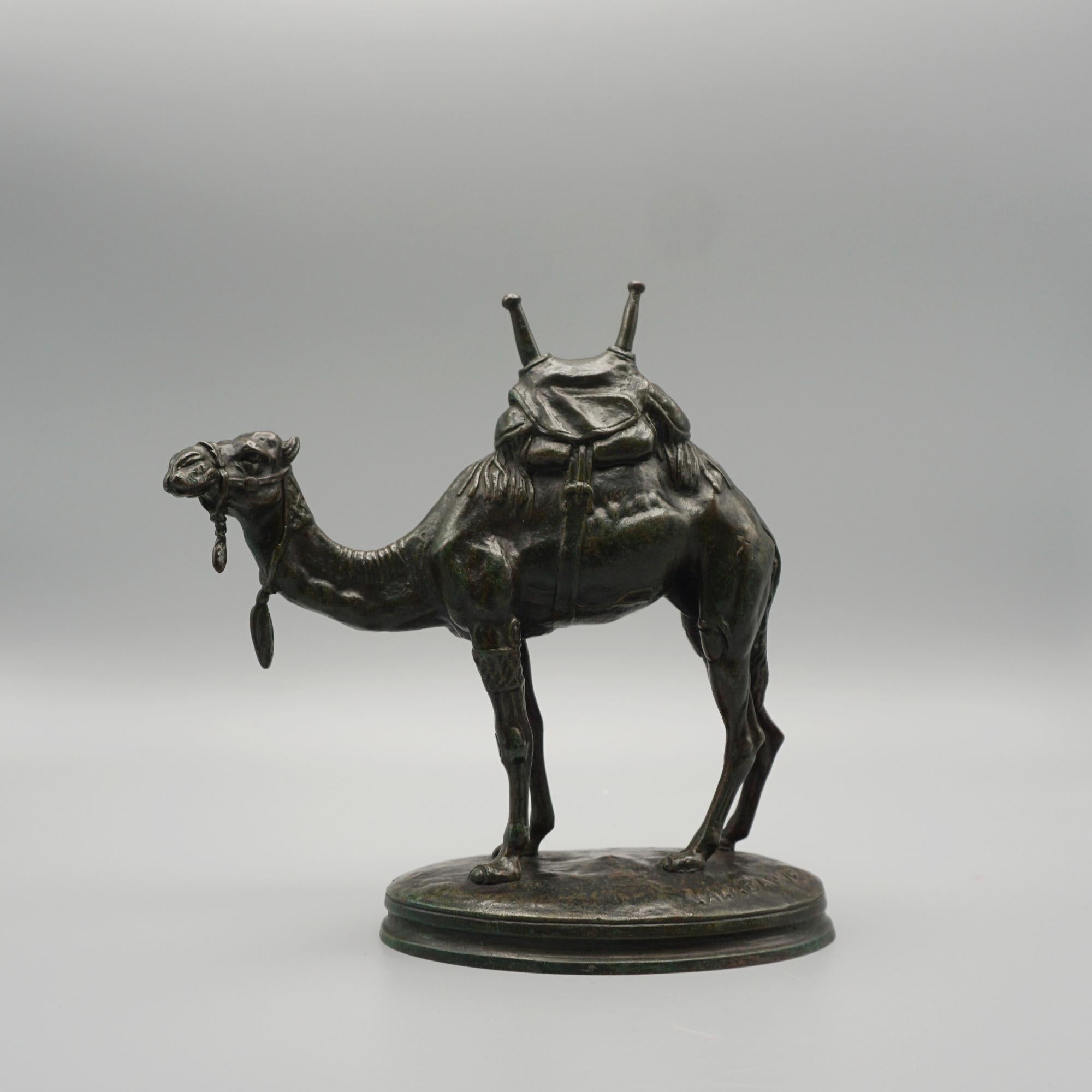 A late 19th century bronze sculpture by Alfred Barye of a saddled Camel. Excellent rich green patination, signed to base. 

Dimensions: H 17cm W 16cm D 7cm 

Origin: French

Date: Circa 1870