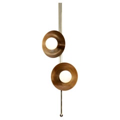 Drop 2 Brass Dome Suspension Lamp by Lamp Shaper