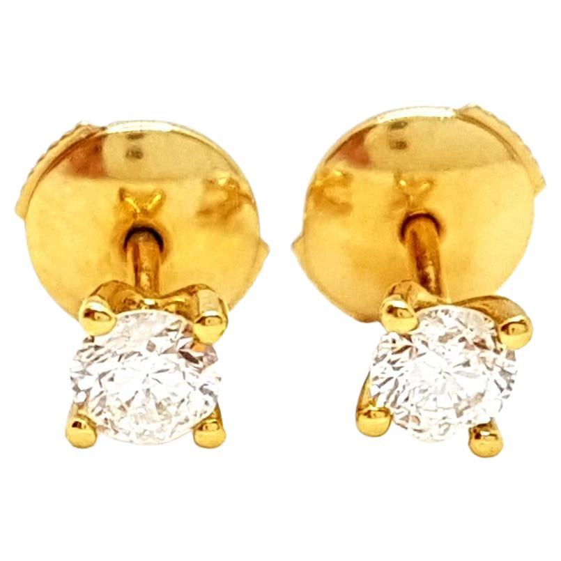 Yerbatero Drop Earrings main image 1