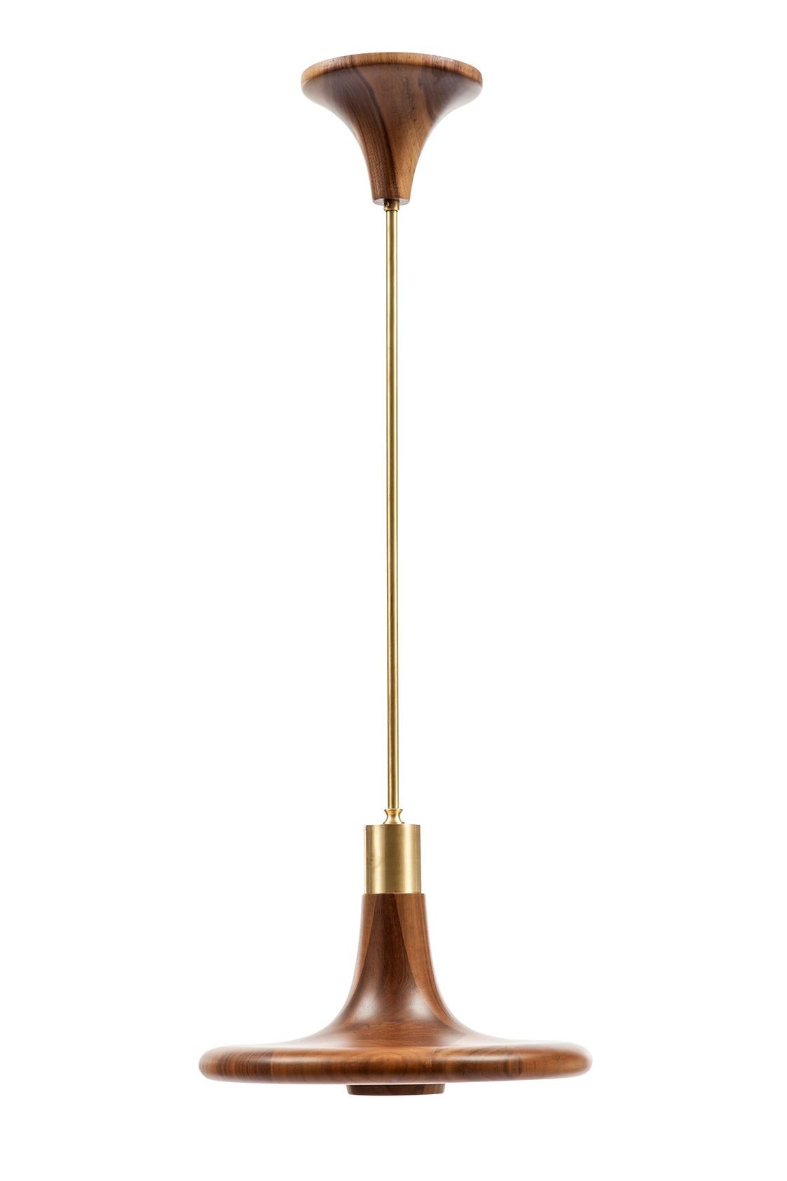 Drop Lamp, Minimalistische Pendelleuchte aus Holz (Organische Moderne) im Angebot