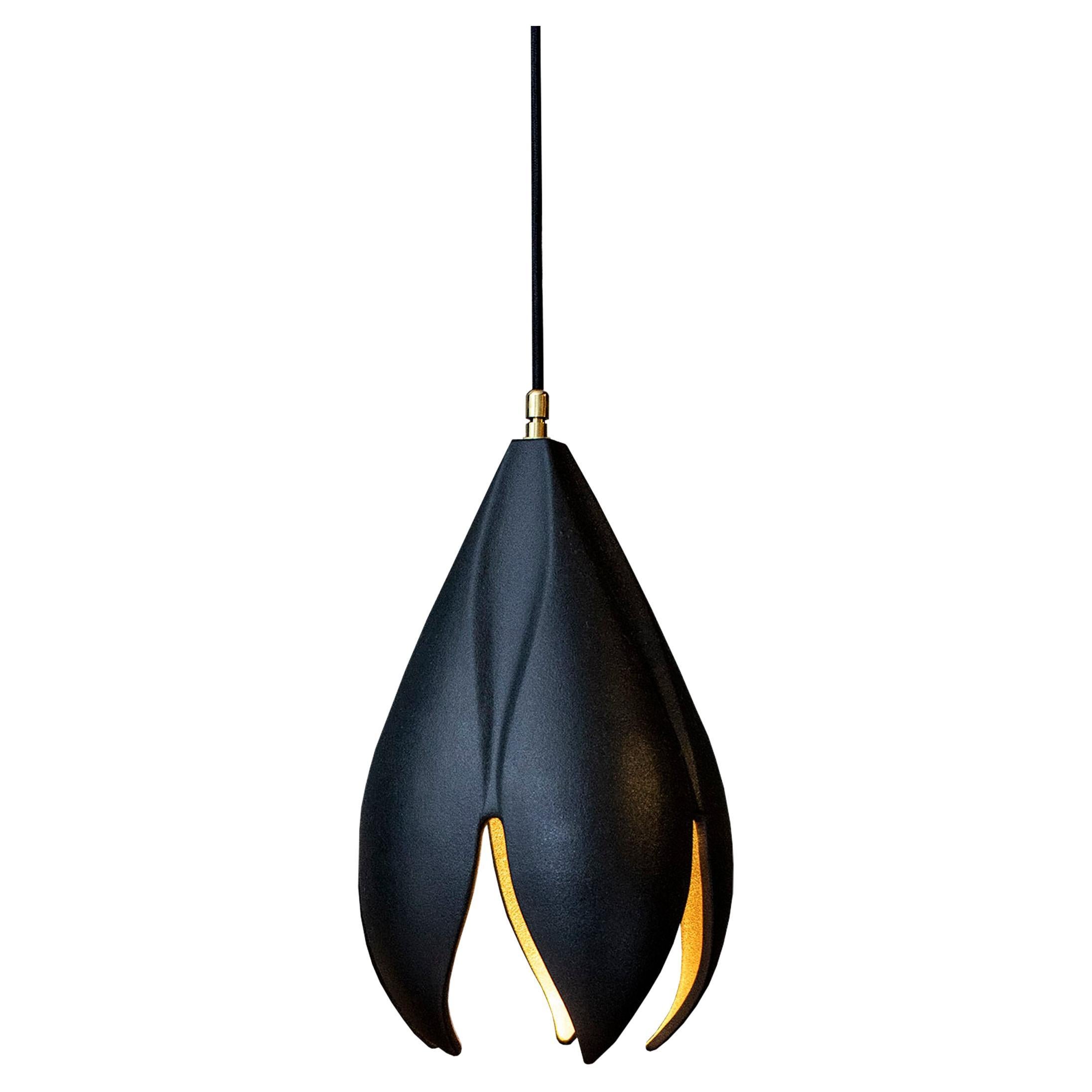 Drop Light - Matte Black / Copper Lustre - Pendant Light For Sale
