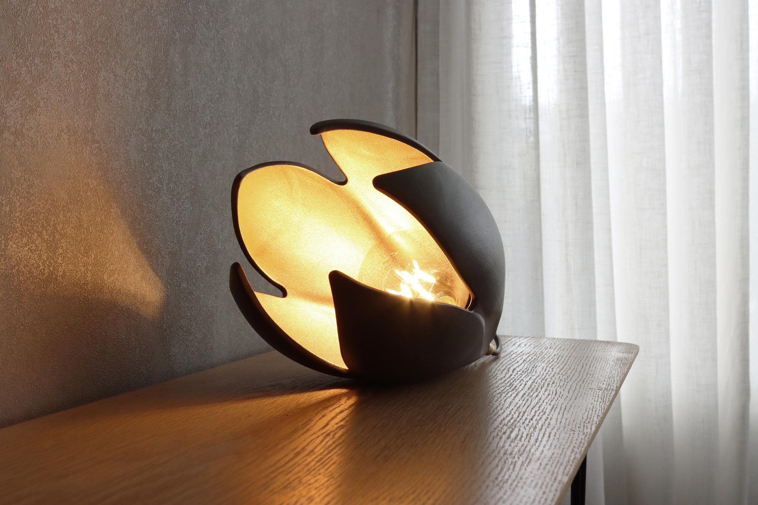 New Zealand Drop Light, Matte Black / Copper Lustre, Table Lamp For Sale