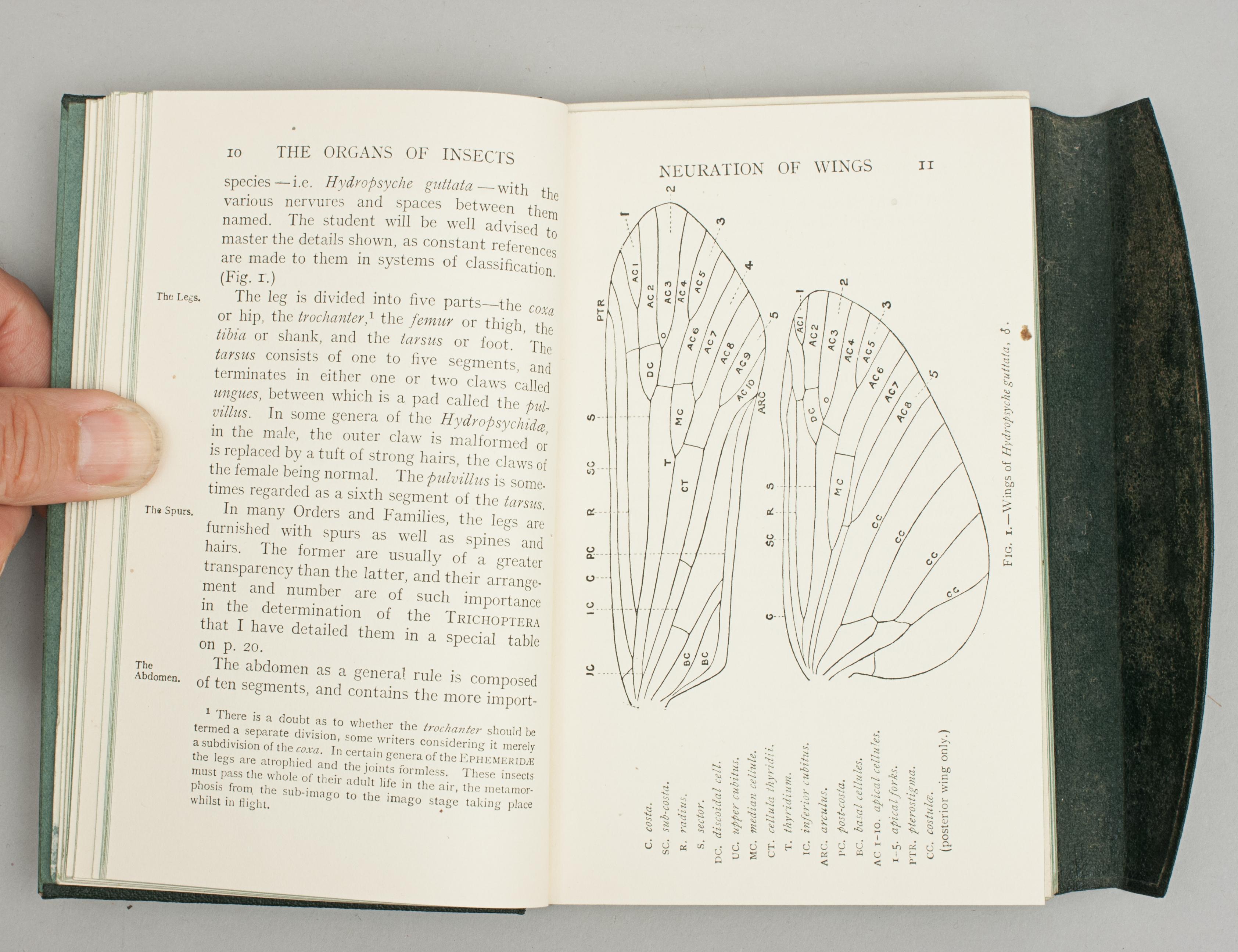 Dry Fly Fisherman's Entomology Book by Martin E. Mosely at 1stDibs