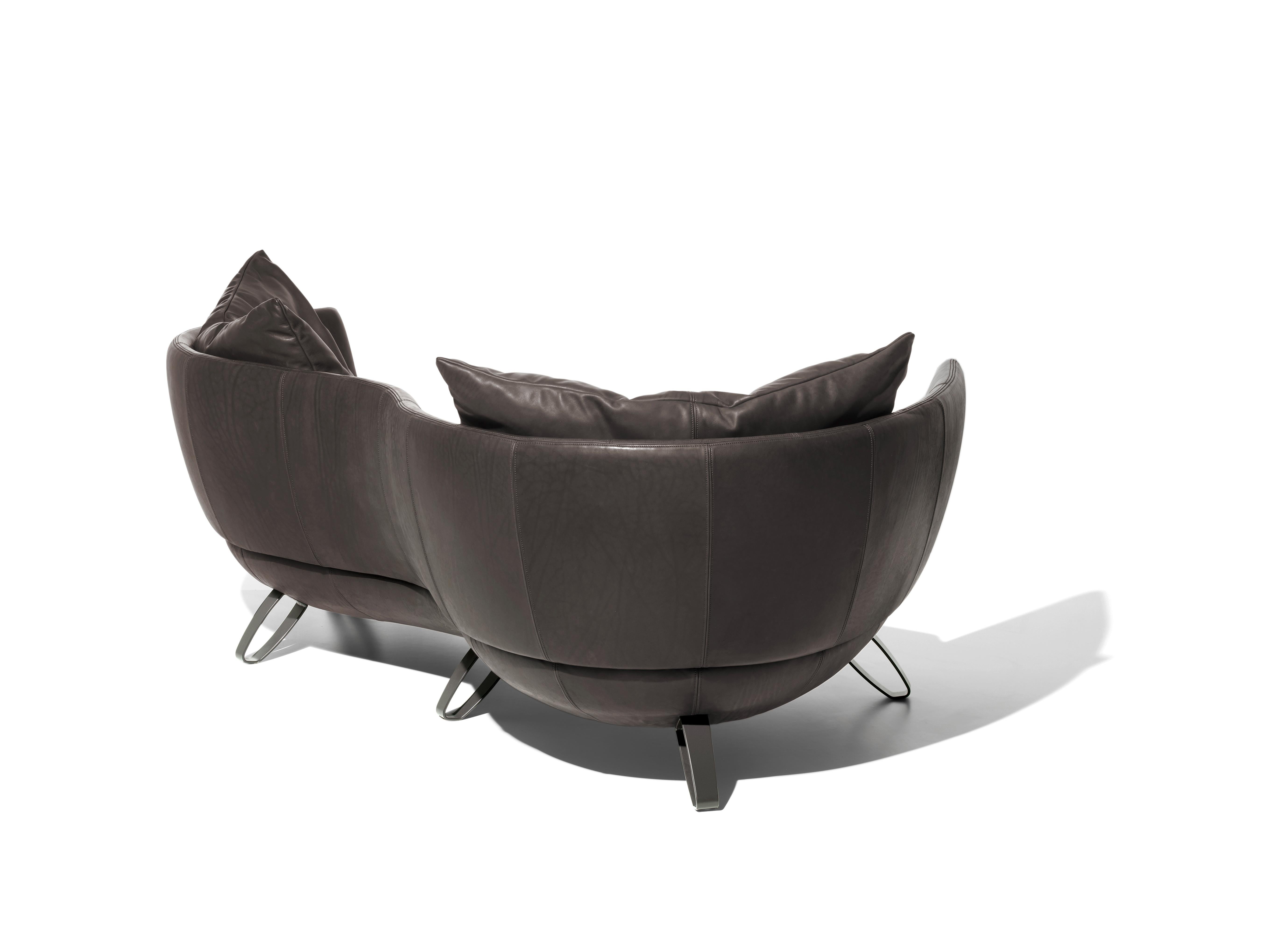 Modern DS-102 Sofa by De Sede For Sale