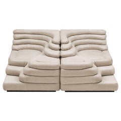 DS-1025, 2er-Set Sofas von De Sede