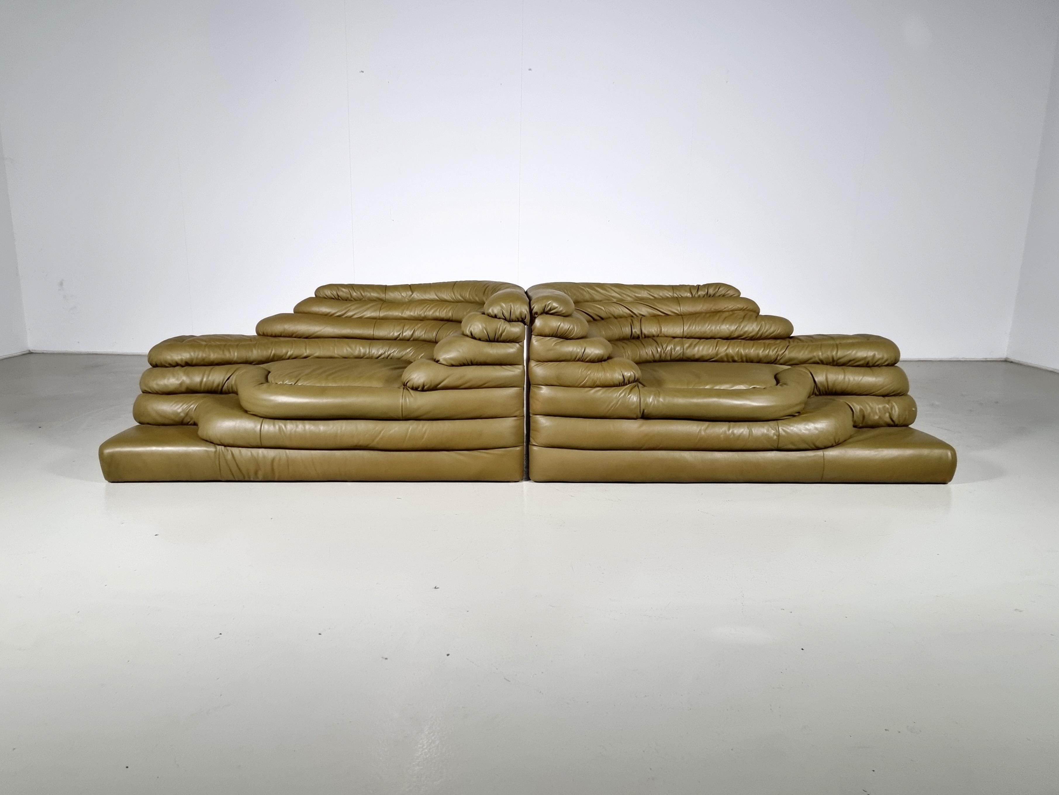 Mid-Century Modern Ds-1025 Terrazza Sofa's by Ubald Klug for De Sede Olive Green