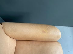 Divano DS 125 disegnato da Gerd Lange per Desede, anni '70