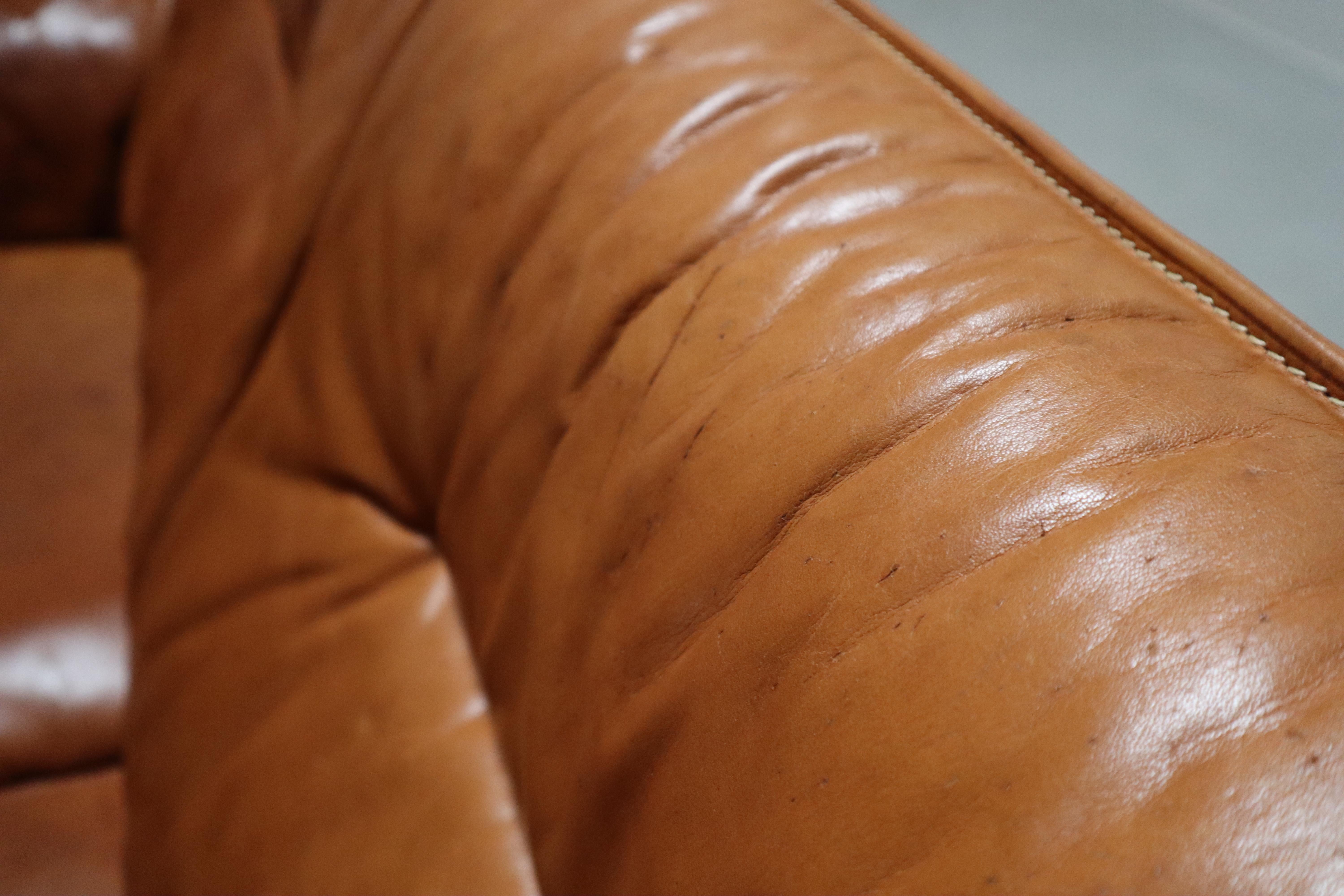 Mid-Century Modern DS-16 Canapé en cuir cognac par De Sede Suisse, 1970 en vente