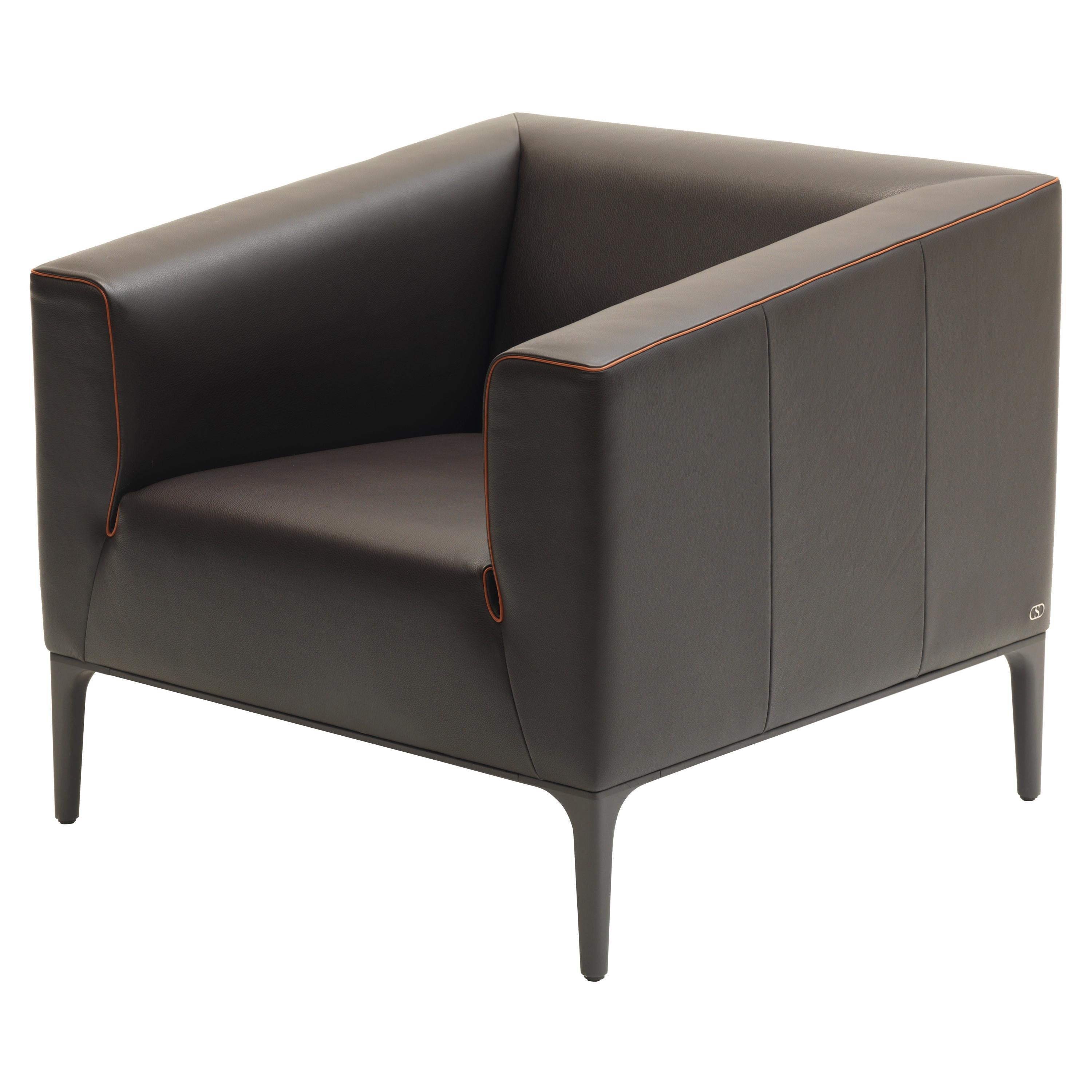 DS-161 Armchair by De Sede For Sale