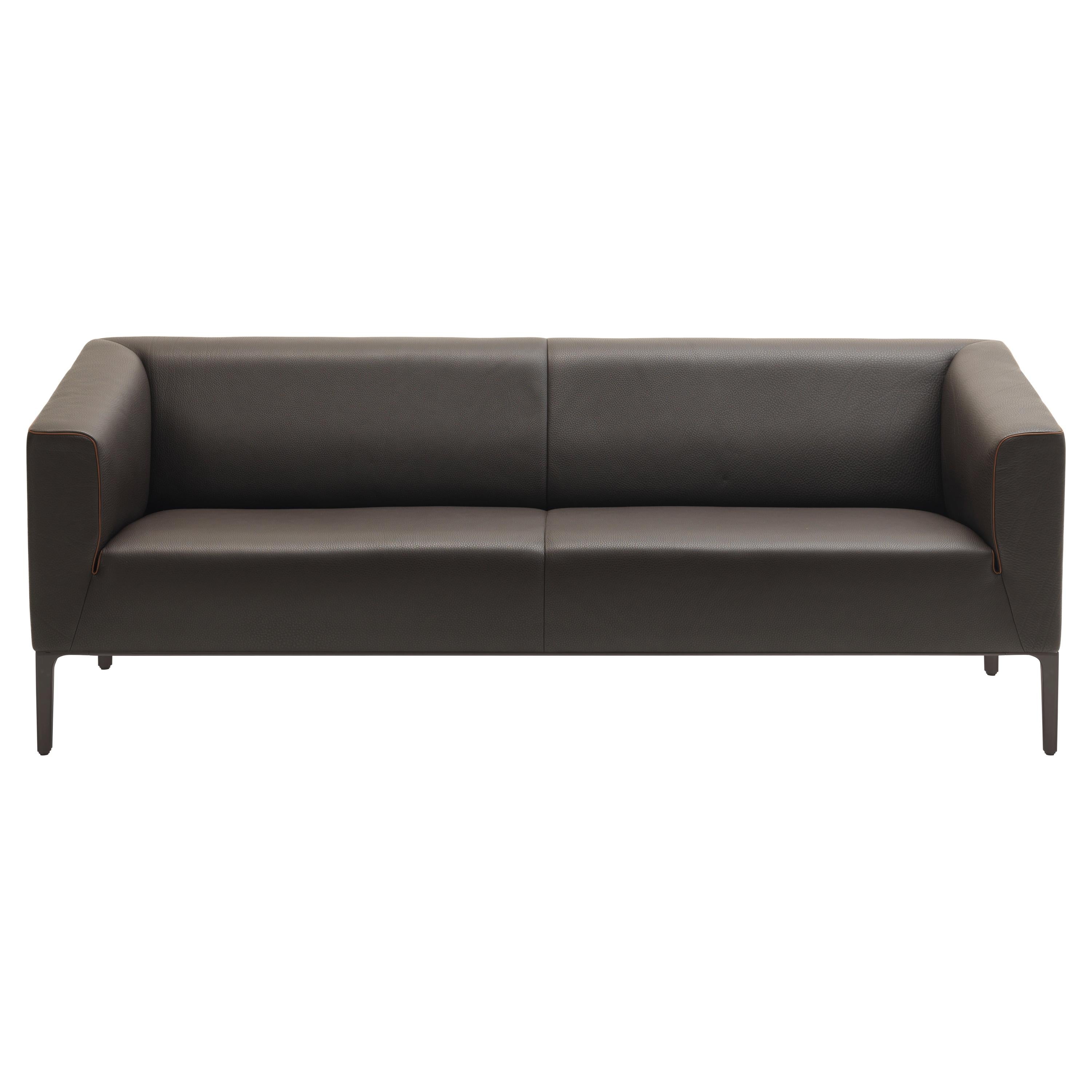 DS-161 Sofa by De Sede For Sale