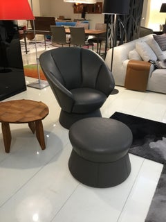 DS-163 Dark Grey Leather Swiveling Lounge Chair & Ottoman by de Sede