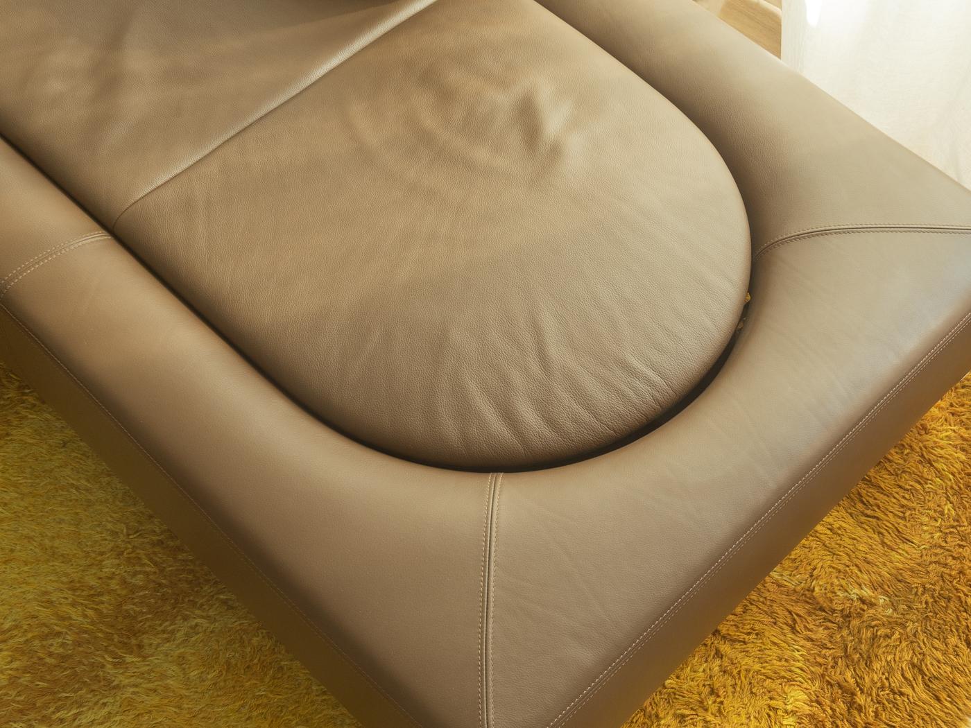 Leather DS-165 Sofa Landscape by De Sede