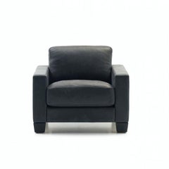 DS-17 Armchair by De Sede