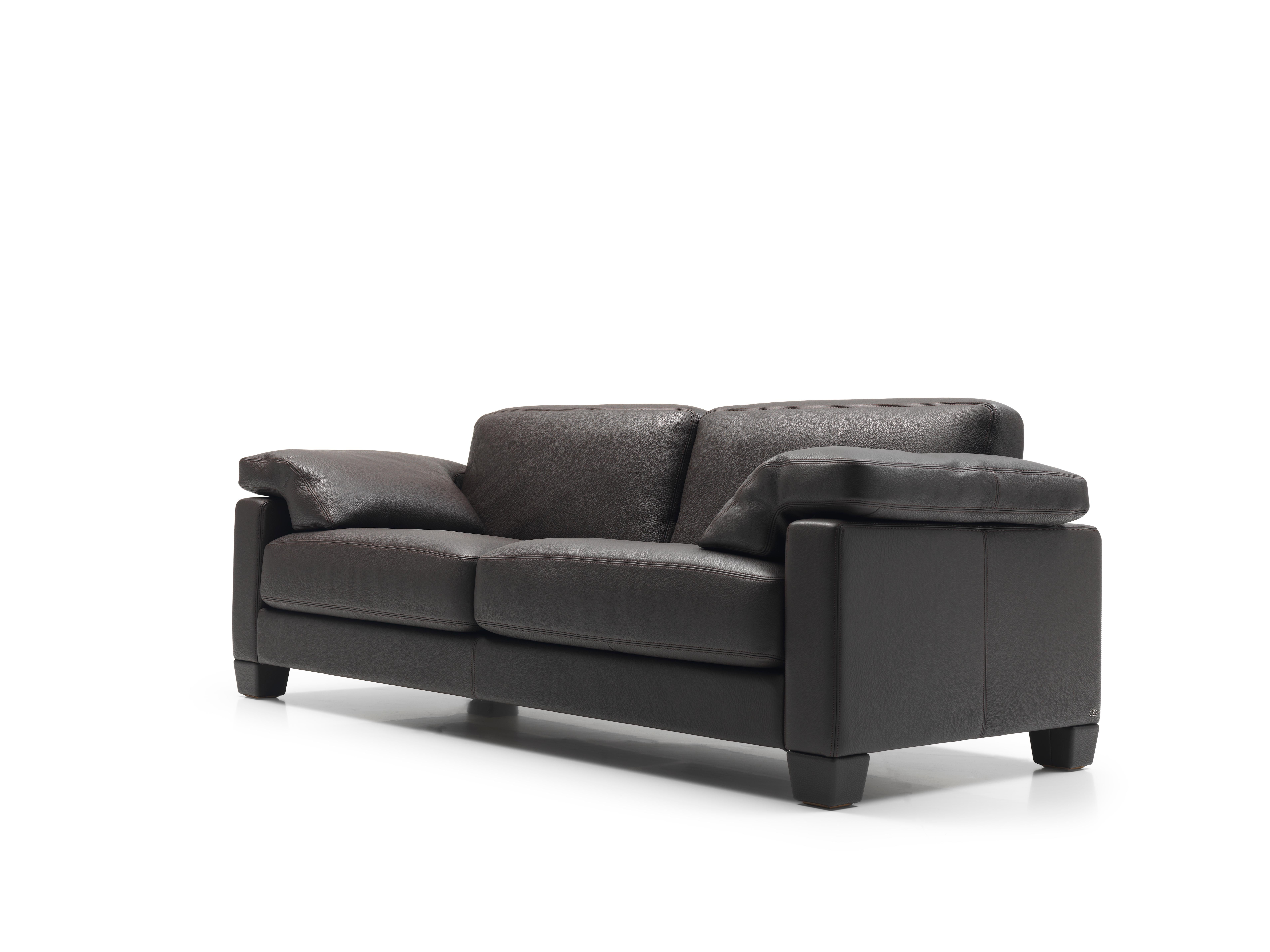Contemporary DS-17 Sofa by De Sede For Sale
