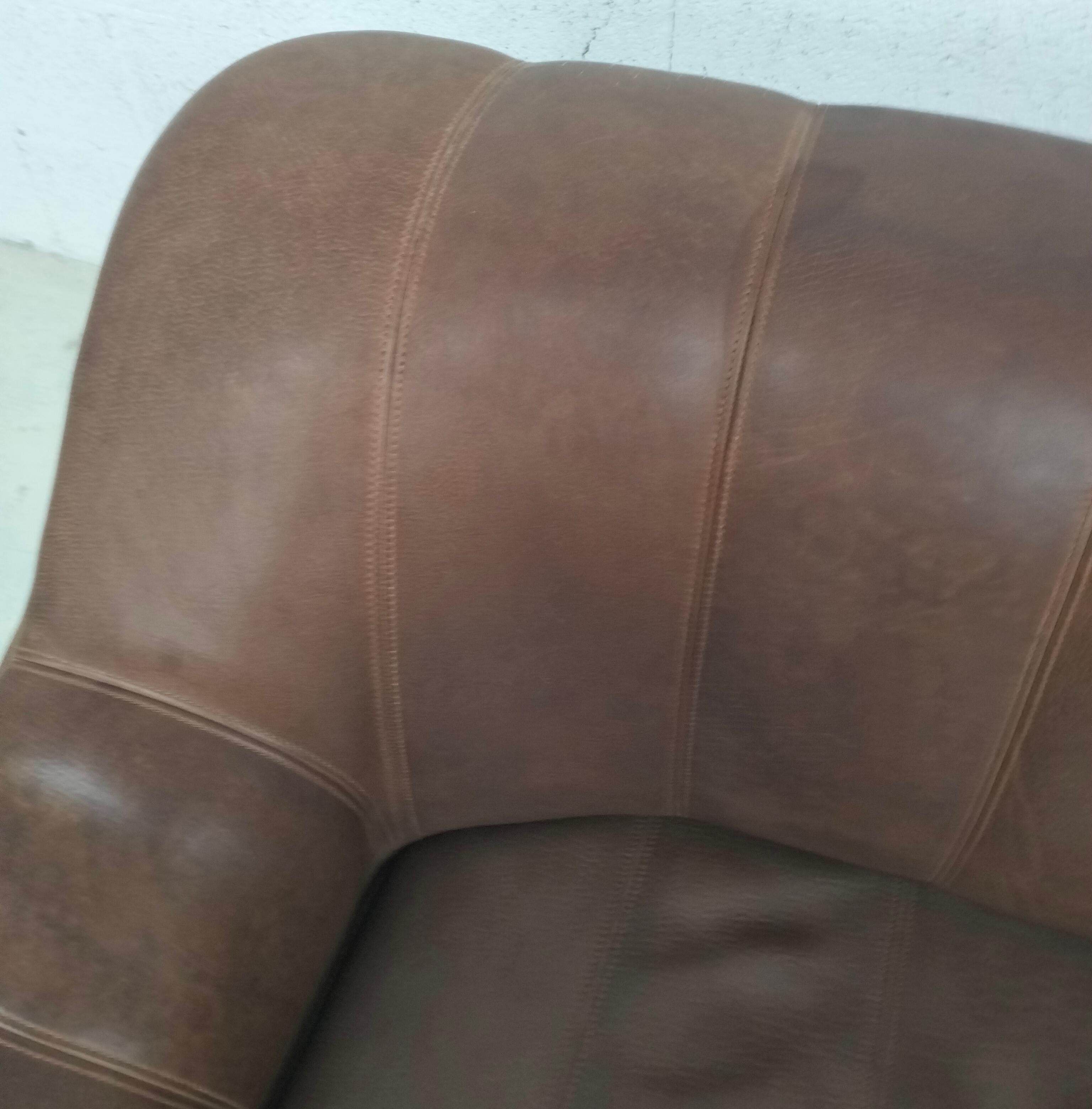 DS 44 buffalo leather sofa by De Sede 1970s For Sale 1