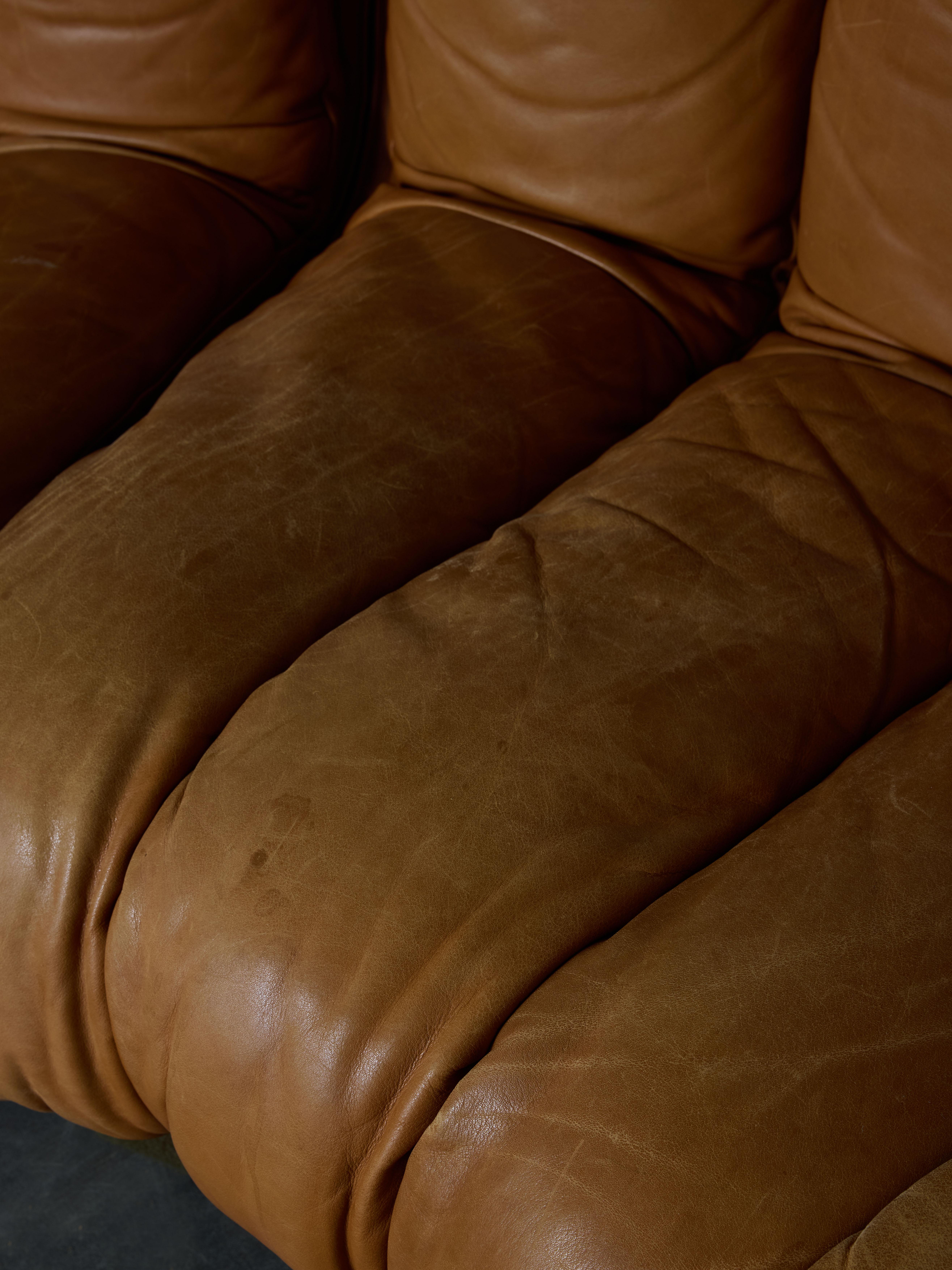 DS-600 Brown Leather Twenty Element Sofa by DeSede 4