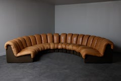 DS-600 Brown Leather Twenty Element Sofa by DeSede