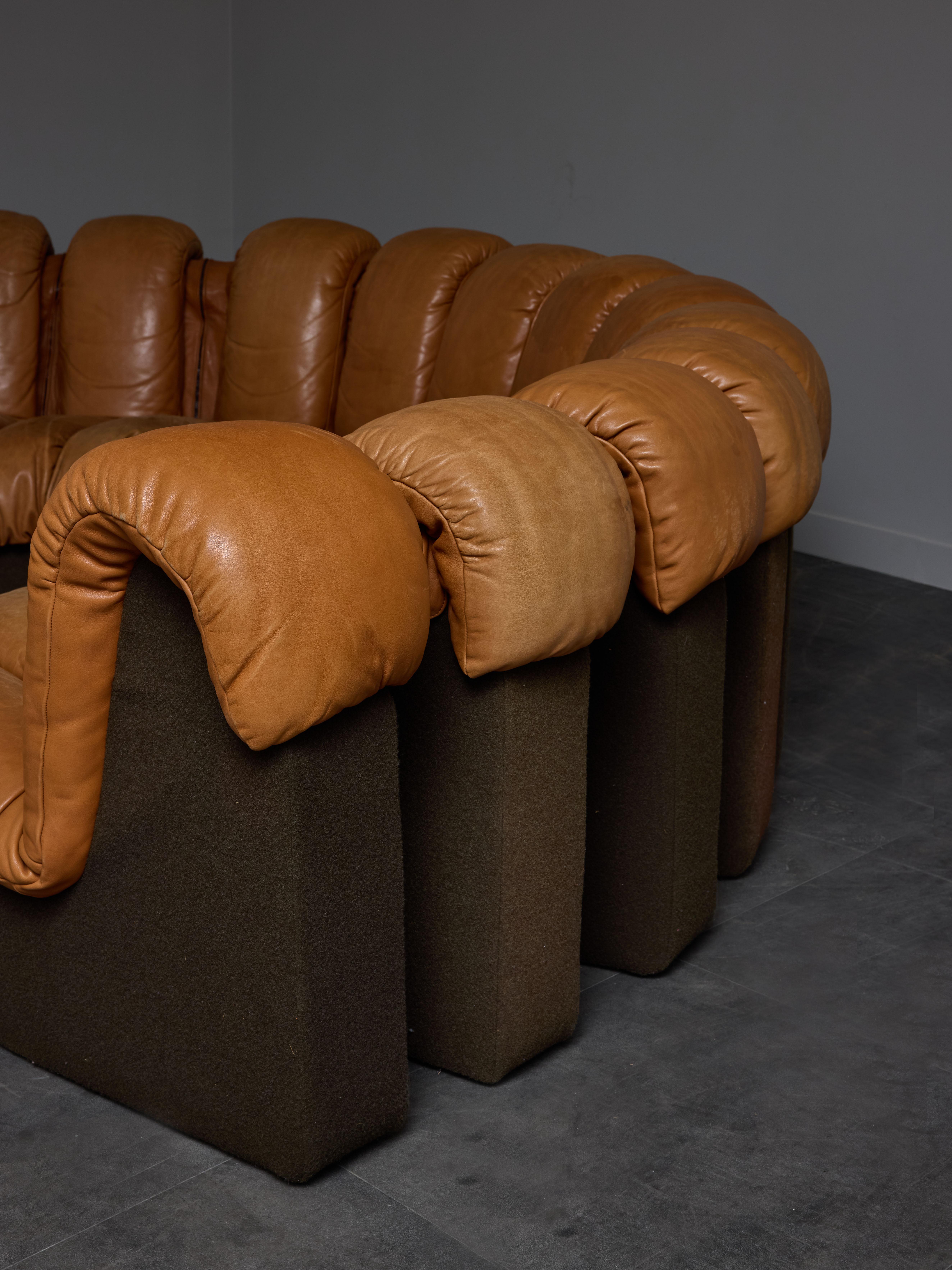 Swiss DS-600 Brown Leather Twenty Element Sofa by DeSede