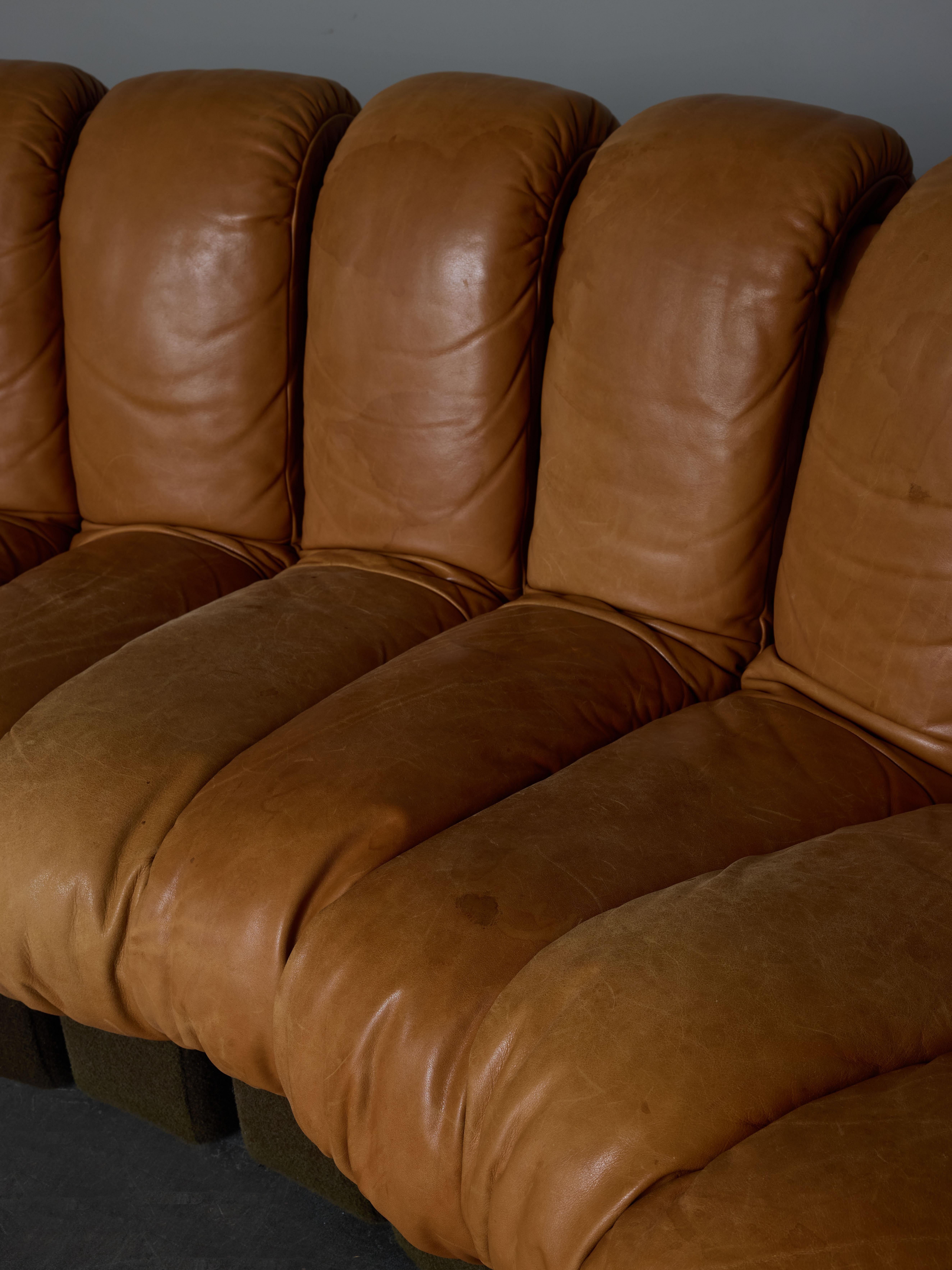 DS-600 Brown Leather Twenty Element Sofa by DeSede 1