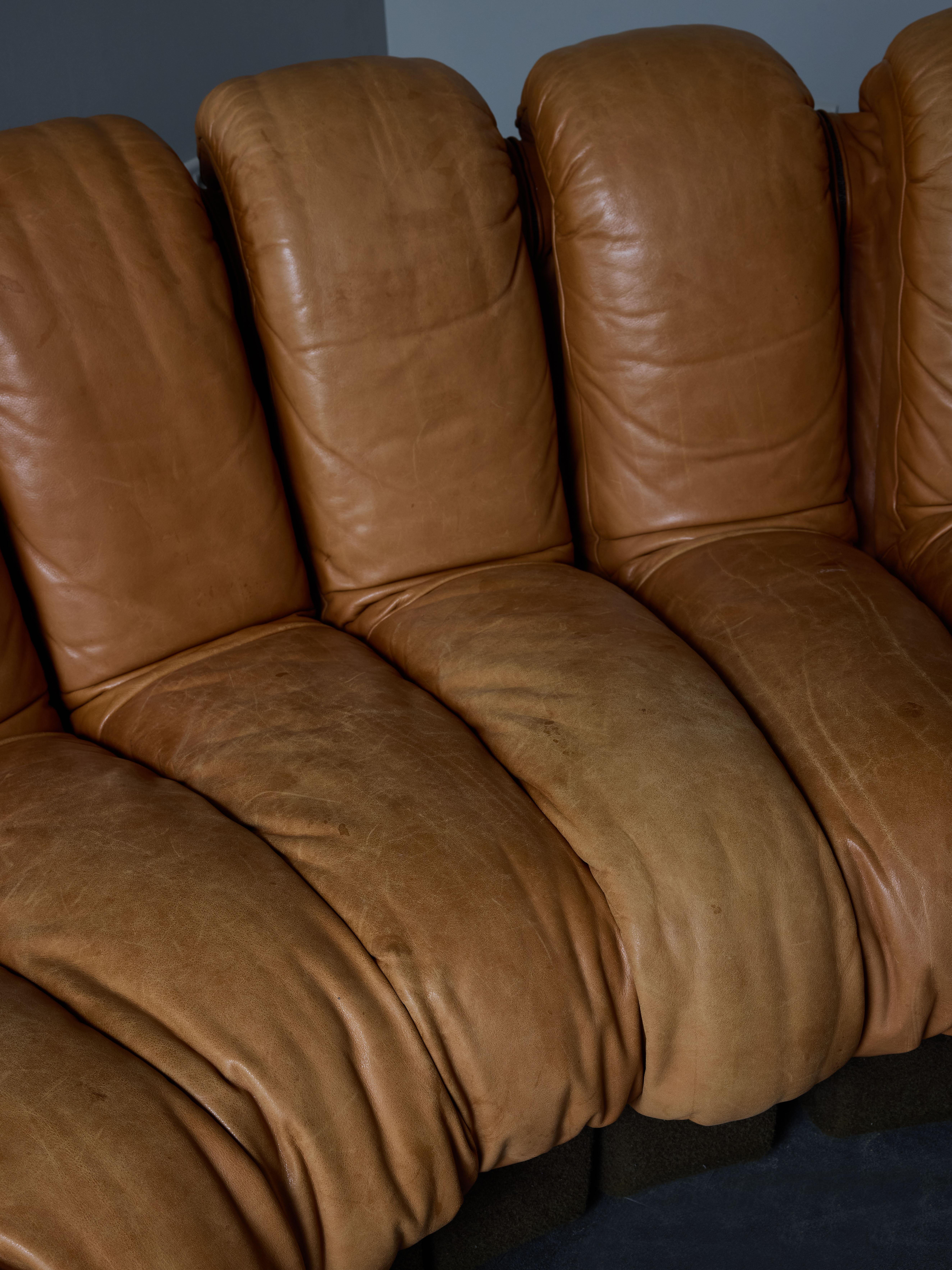 DS-600 Brown Leather Twenty Element Sofa by DeSede 3
