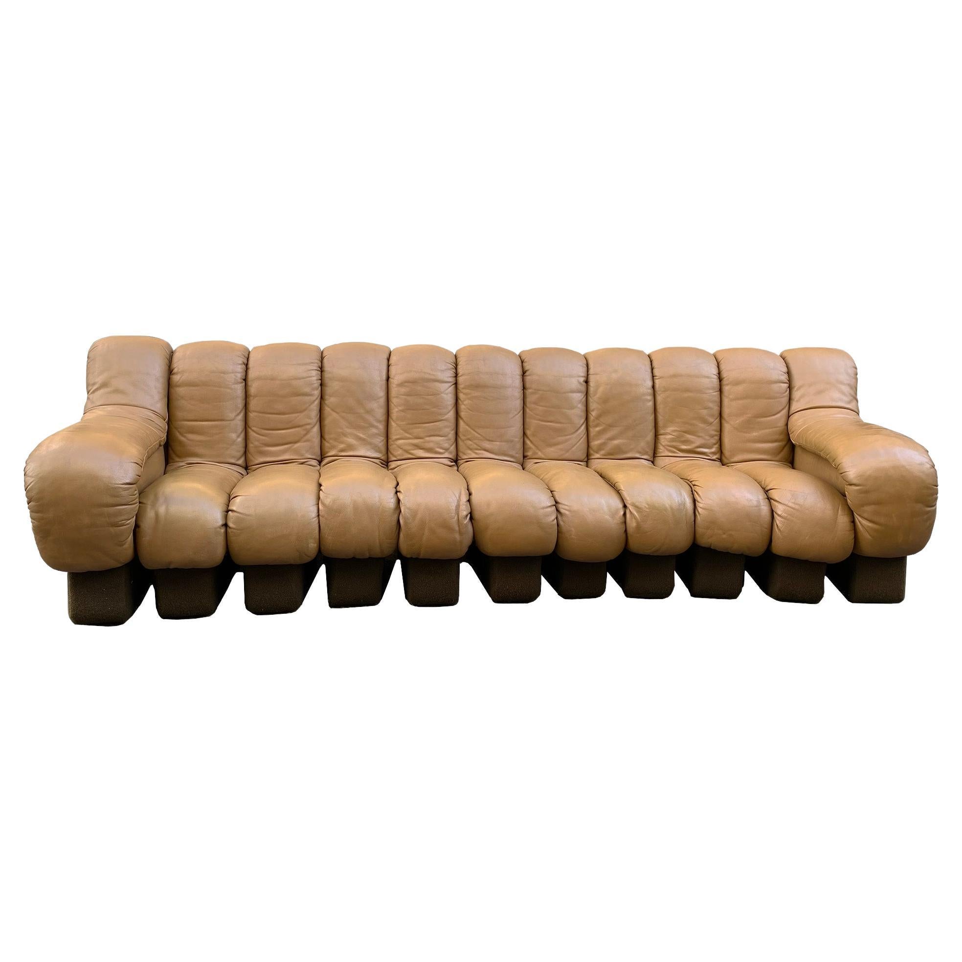 Ds-600 Modular Leather Sofa by Eleonore Peduzzi Riva for De Sede, Set of 11