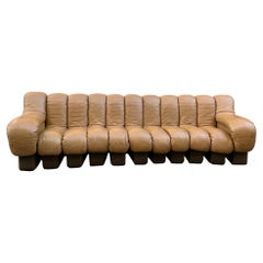 Antique Ds-600 Modular Leather Sofa by Eleonore Peduzzi Riva for De Sede, Set of 11