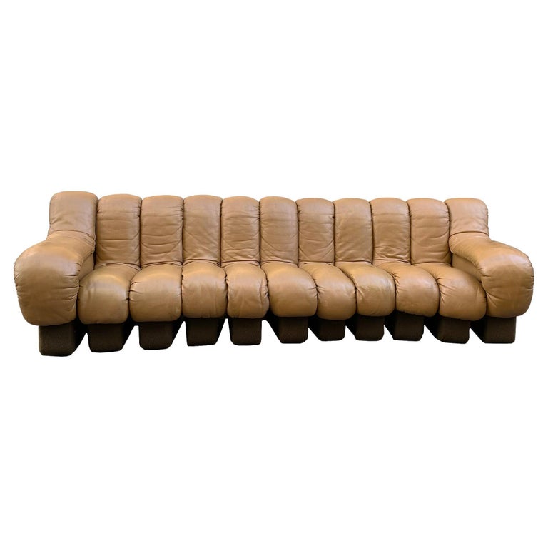 Ds-600 Modular Leather Sofa by Eleonore Peduzzi Riva for De Sede, Set of 11  at 1stDibs