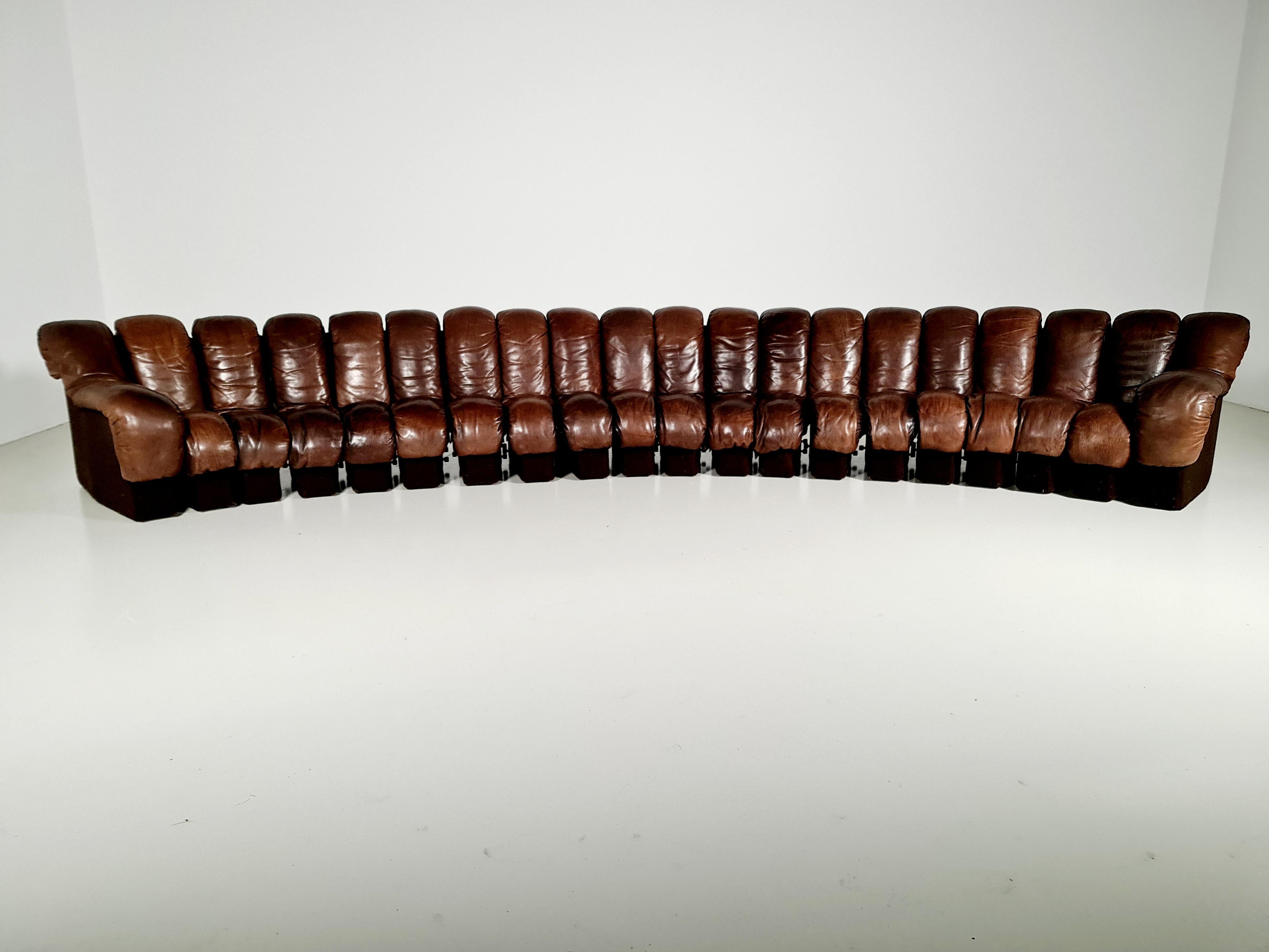 Late 20th Century DS-600 'Snake' Sofa by De Sede Switzerland, 1970s