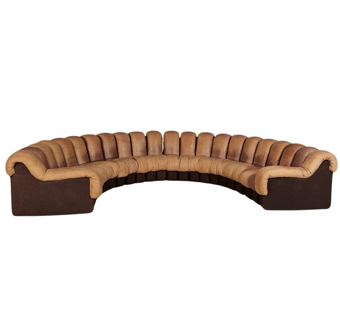 Swiss 'DS-600'/'Snake' sofa by Eleanora Peduzzi-Riva, De Sede
