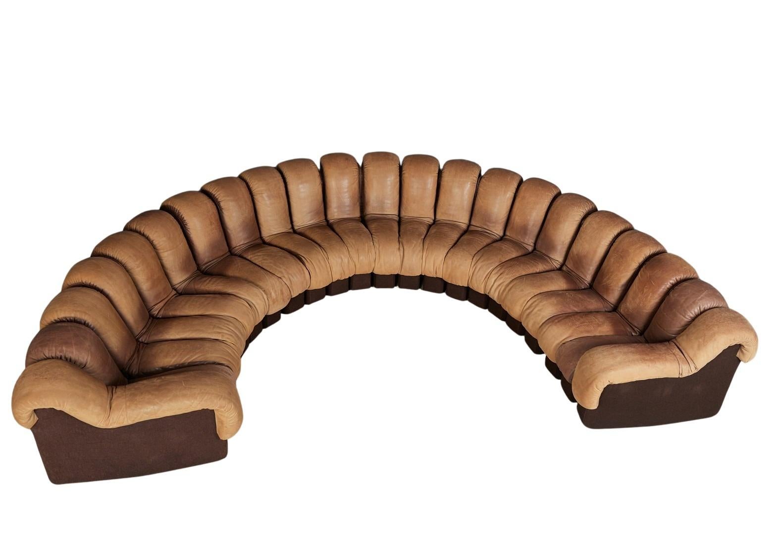 Late 20th Century 'DS-600'/'Snake' sofa by Eleanora Peduzzi-Riva, De Sede
