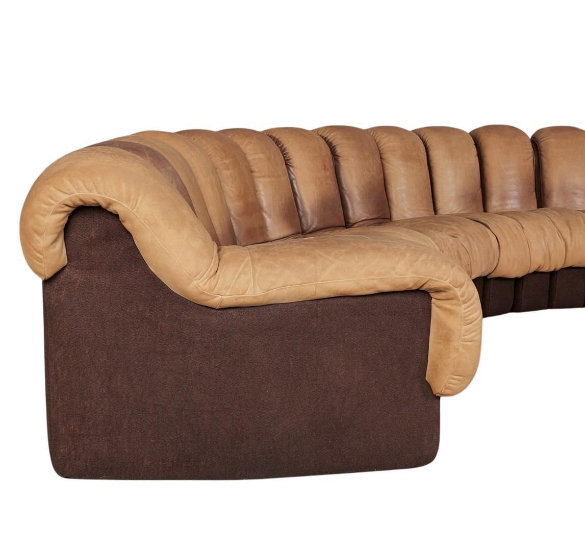 'DS-600'/'Snake' sofa by Eleanora Peduzzi-Riva, De Sede 1